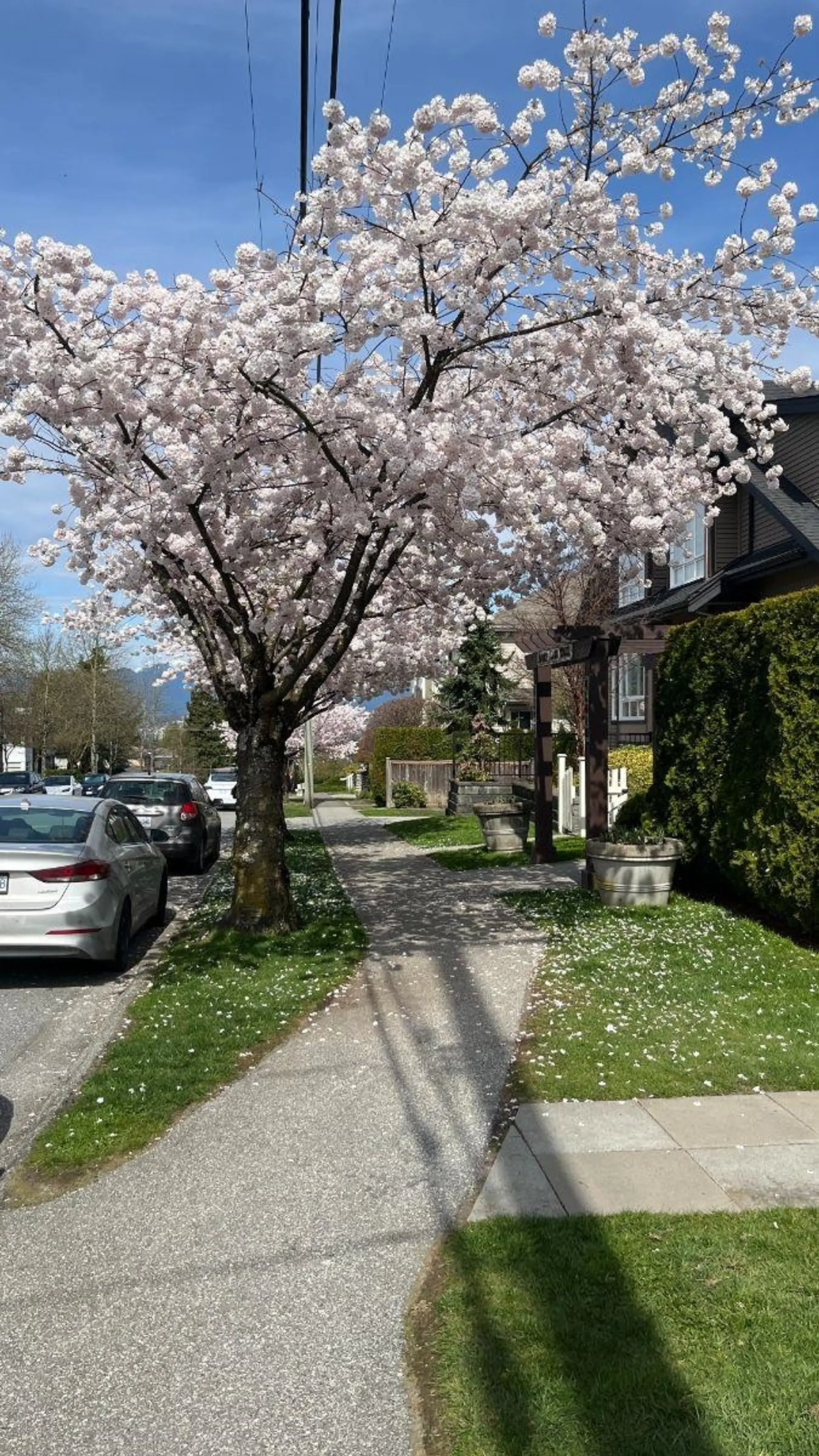 #105 6588 Elgin Avenue - Image 15