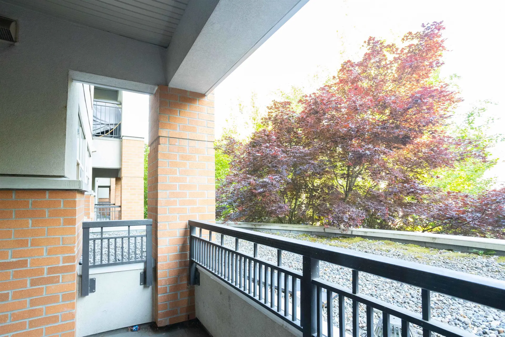#210 33545 Rainbow Avenue - Image 8