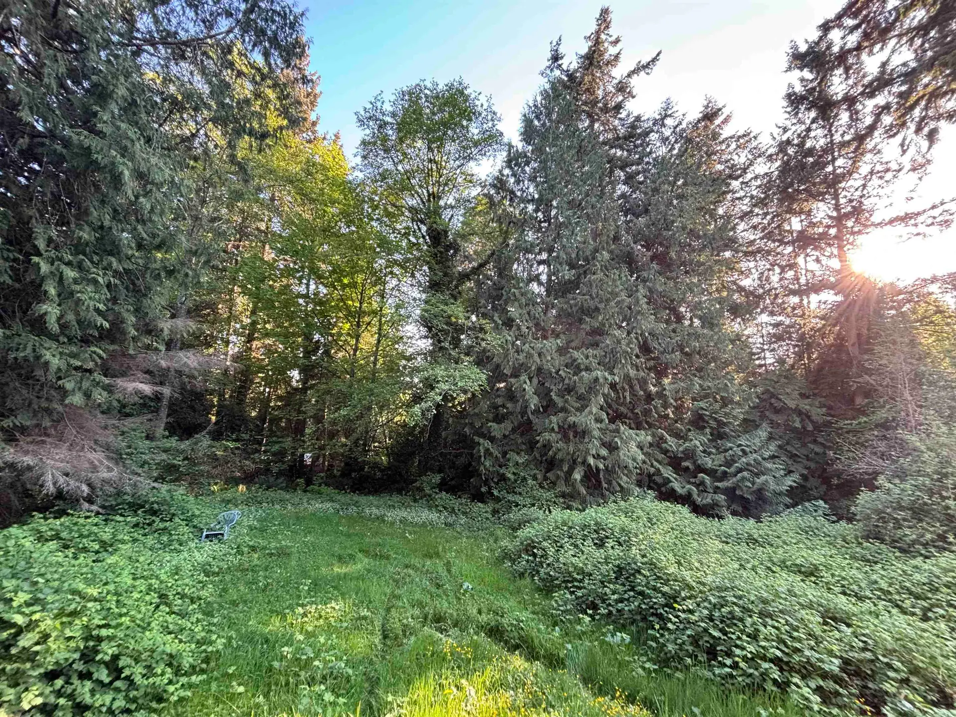 1291 Marlene Road - Image 3