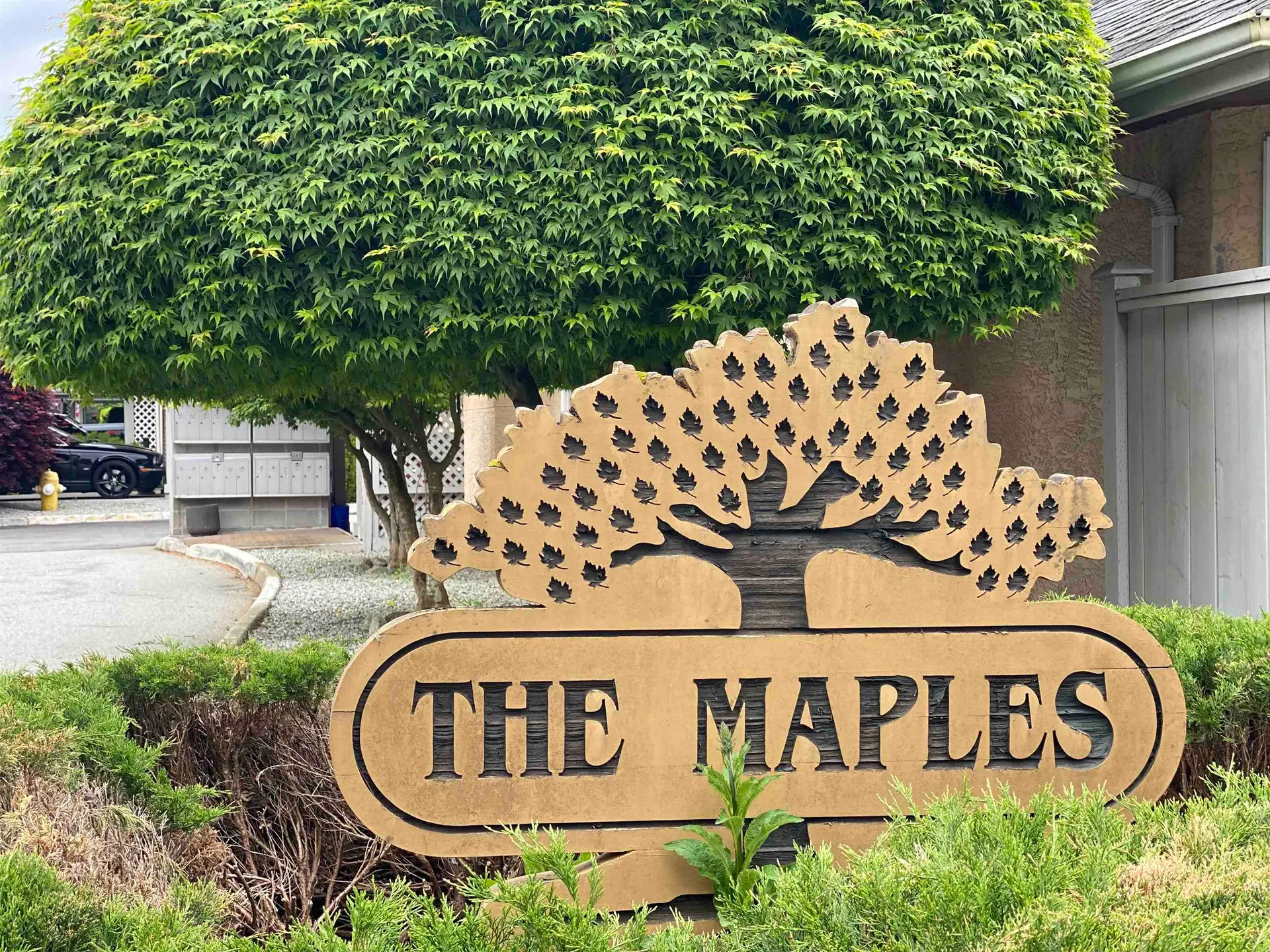 Property at #14 11950 Laity Street, Maple Ridge, BC