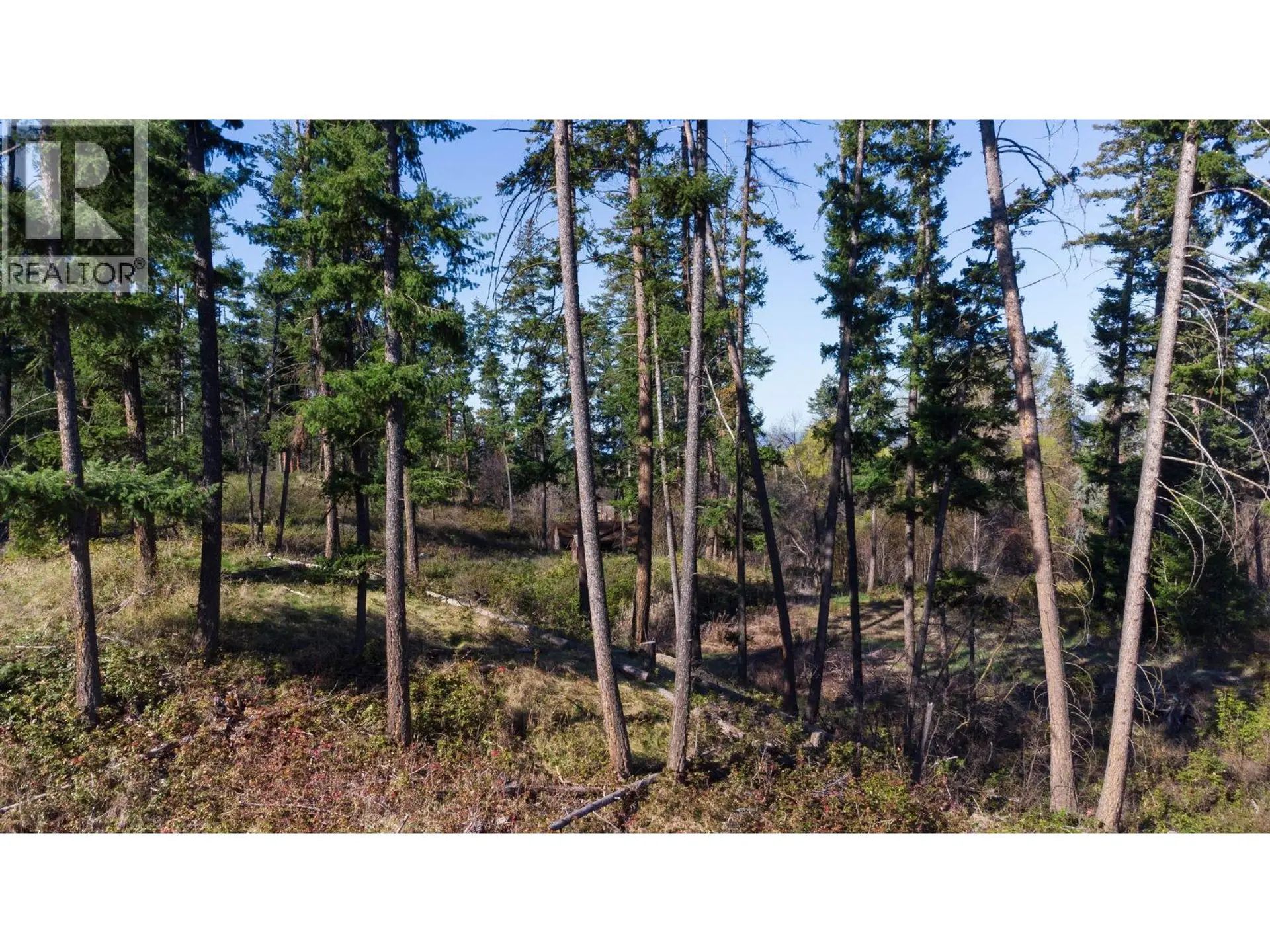 3281 Hall Road - Image 2