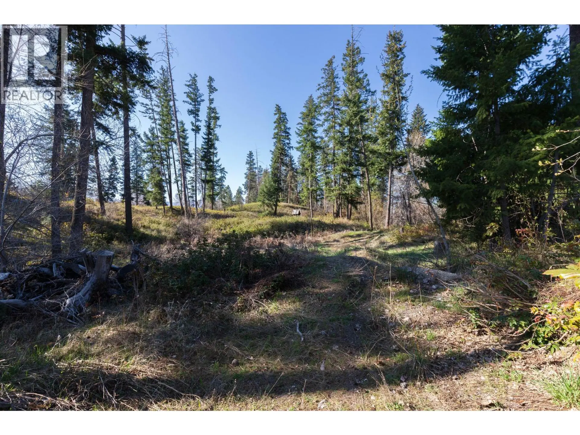 3281 Hall Road - Image 4