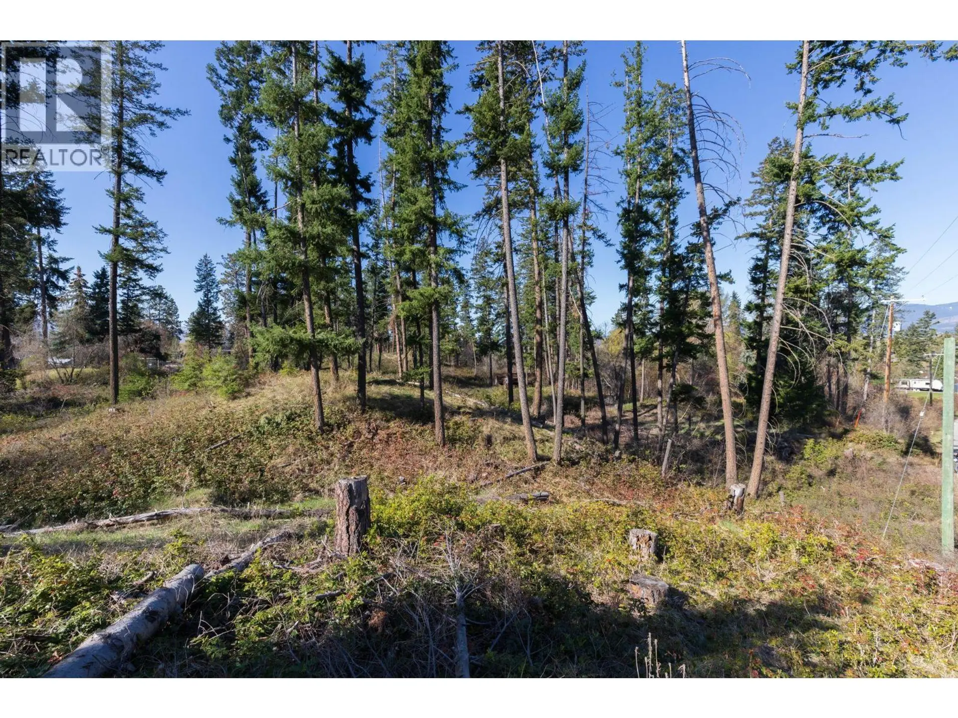 3281 Hall Road - Image 5