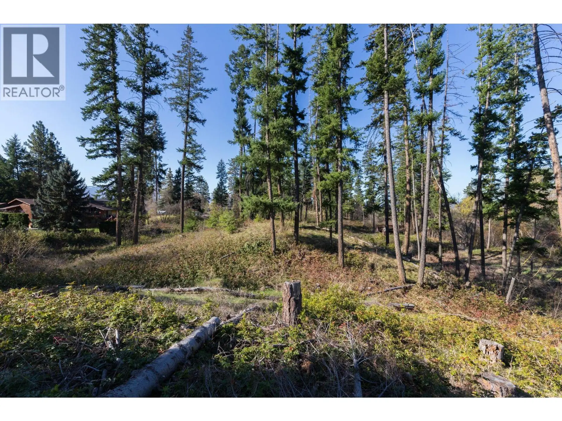 3281 Hall Road - Image 6