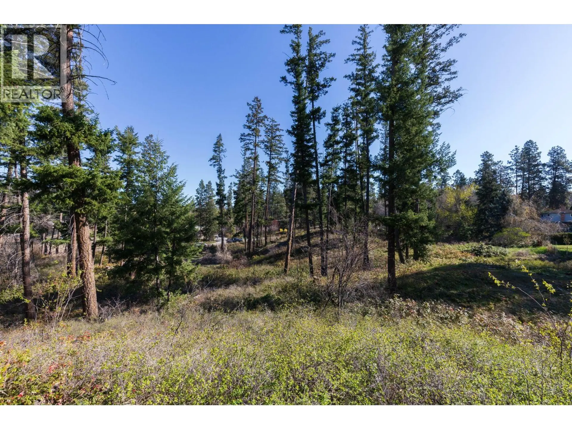 3281 Hall Road - Image 8