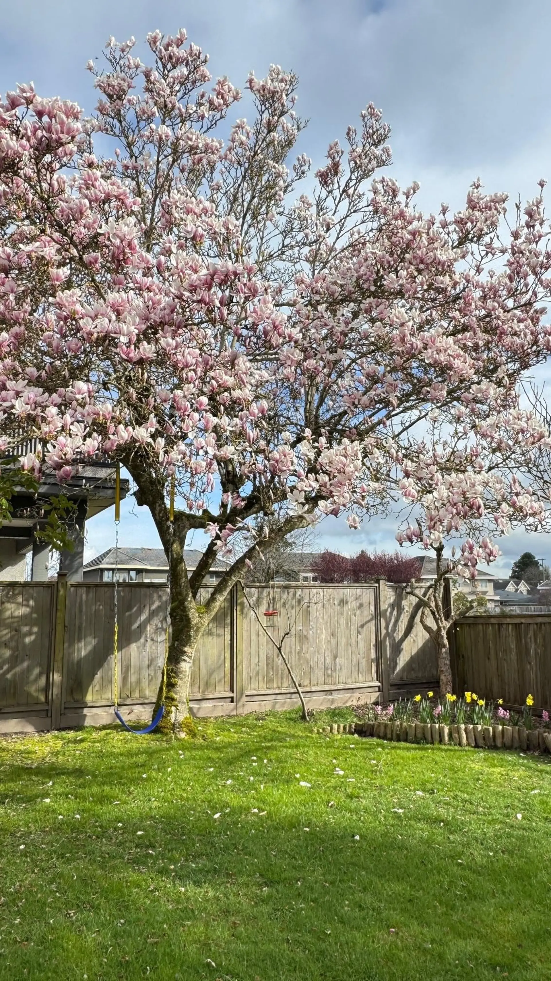 7540 Barkerville Court - Image 5