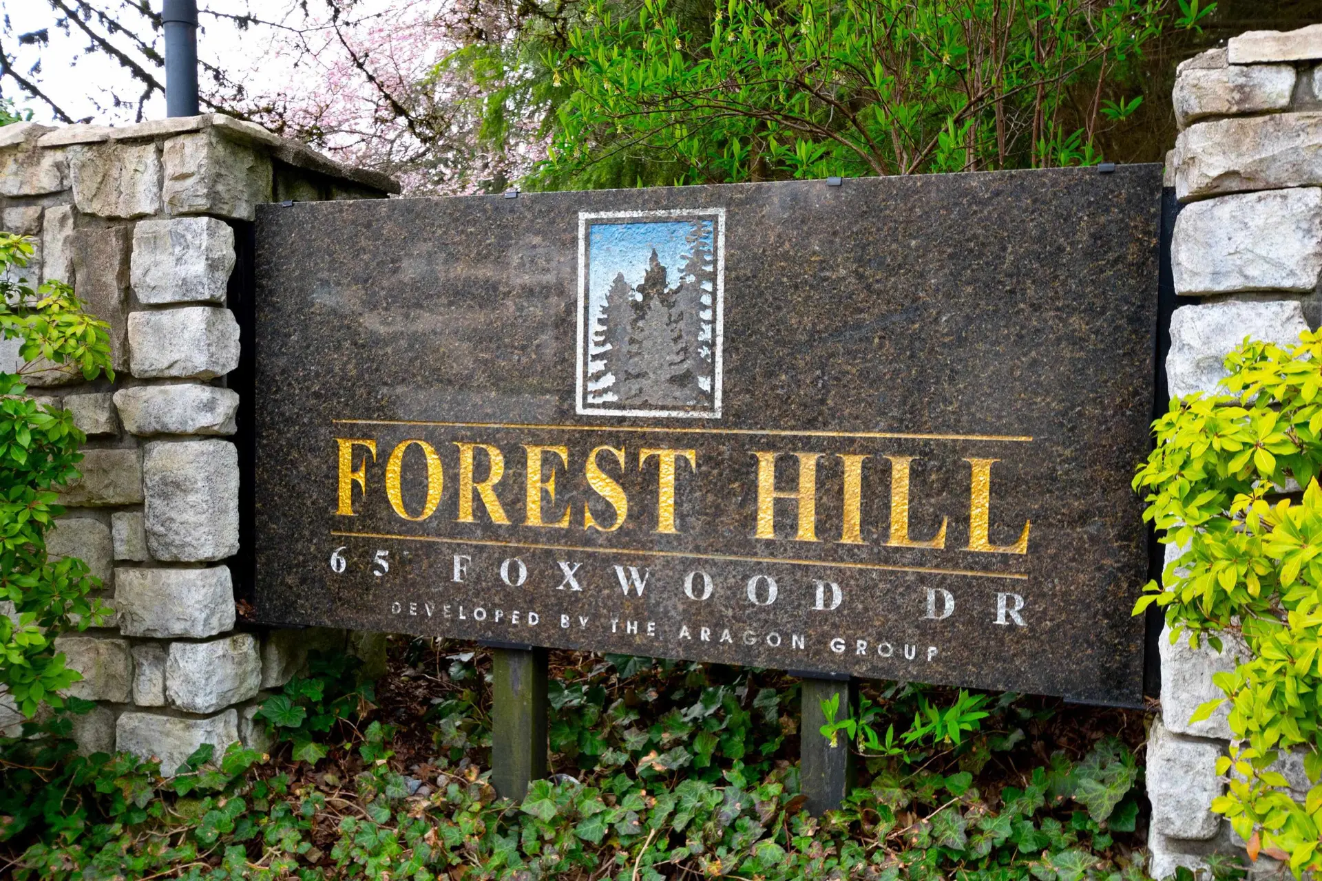 #20 65 Foxwood Drive - Image 12