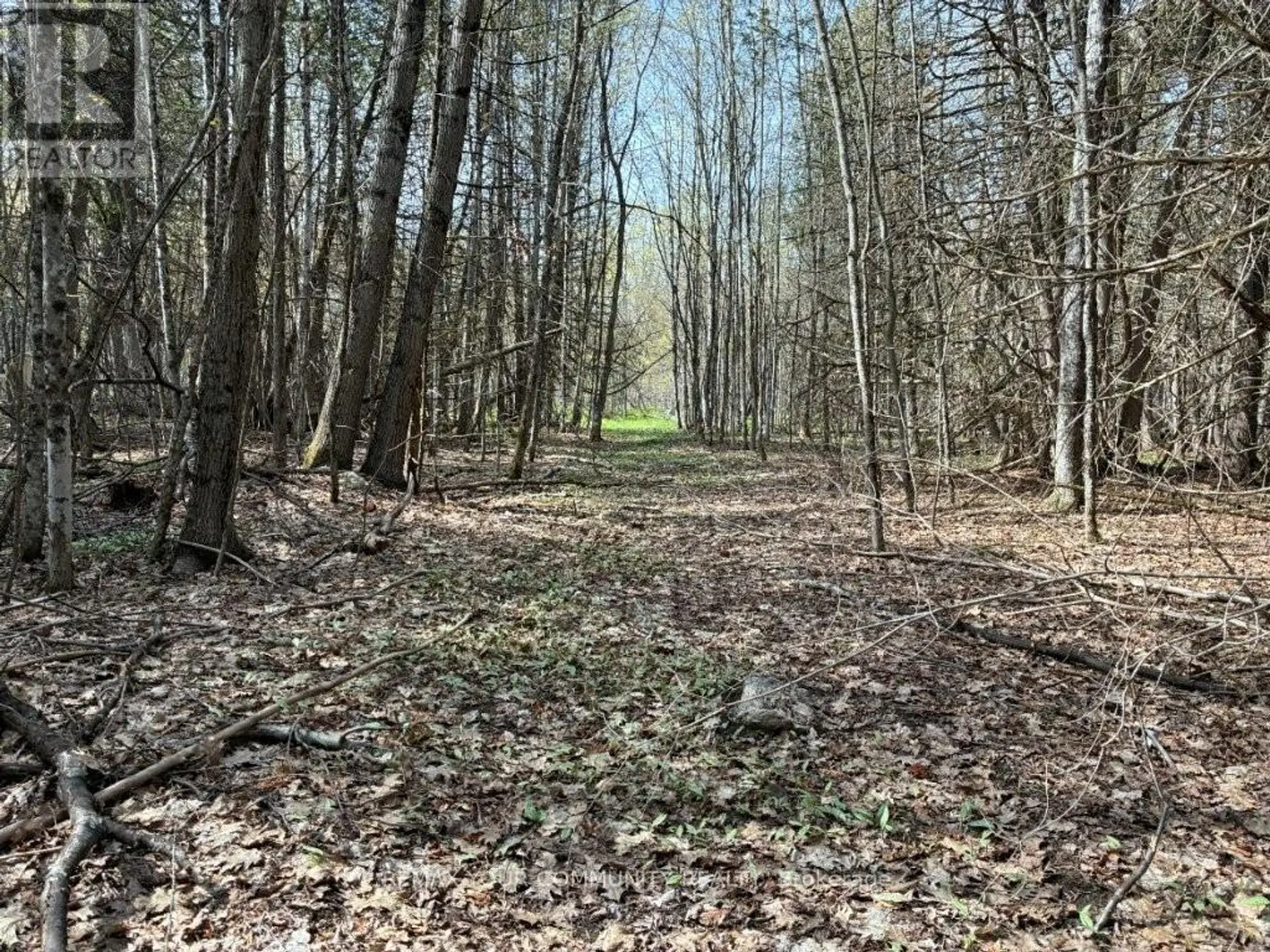 PT LOT 20 BESSIE AVENUE N - Image 10