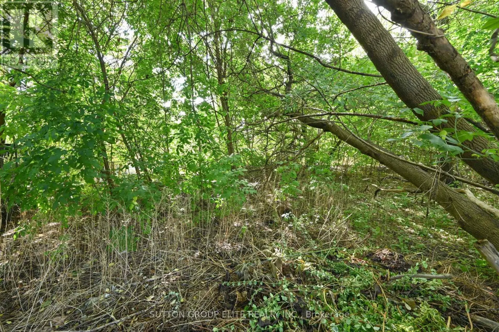 1238 CLAREDALE ROAD - Image 18