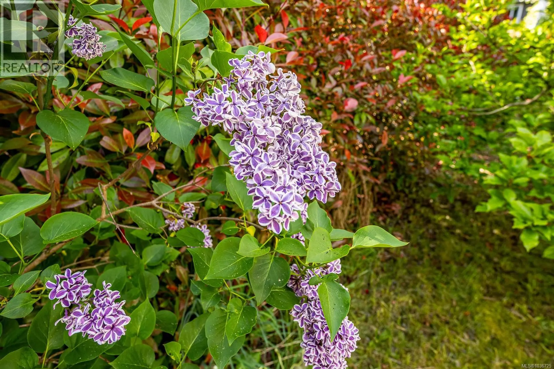 182B Arden Rd - Image 15