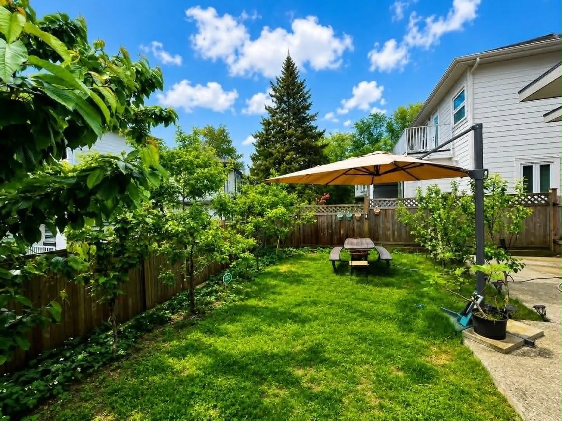 17849 E Barnston Drive - Image 16