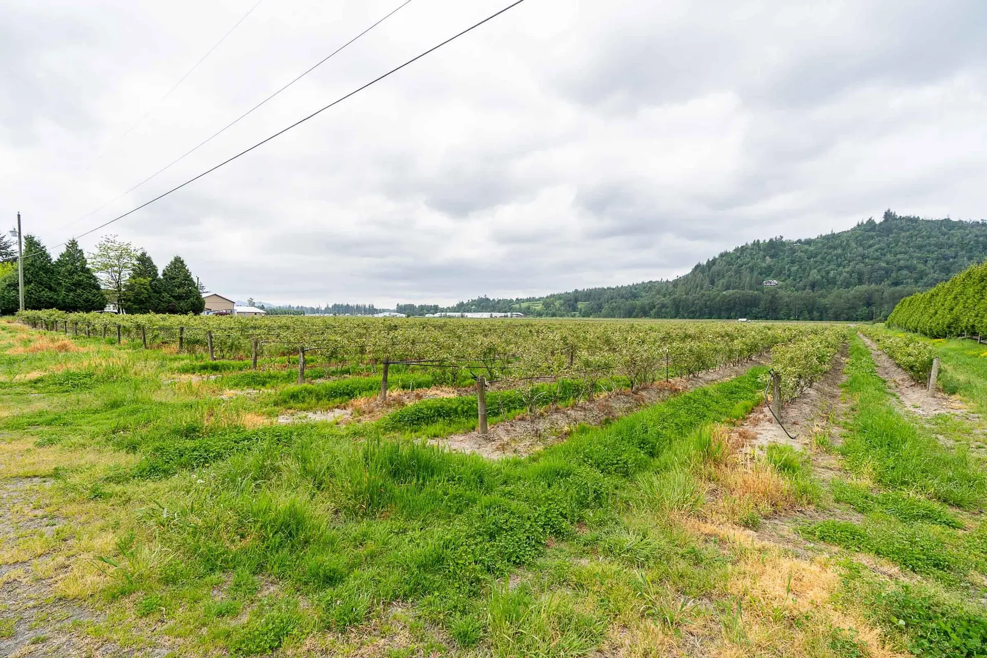 Property at 3593 McDermott Road, Abbotsford, BC