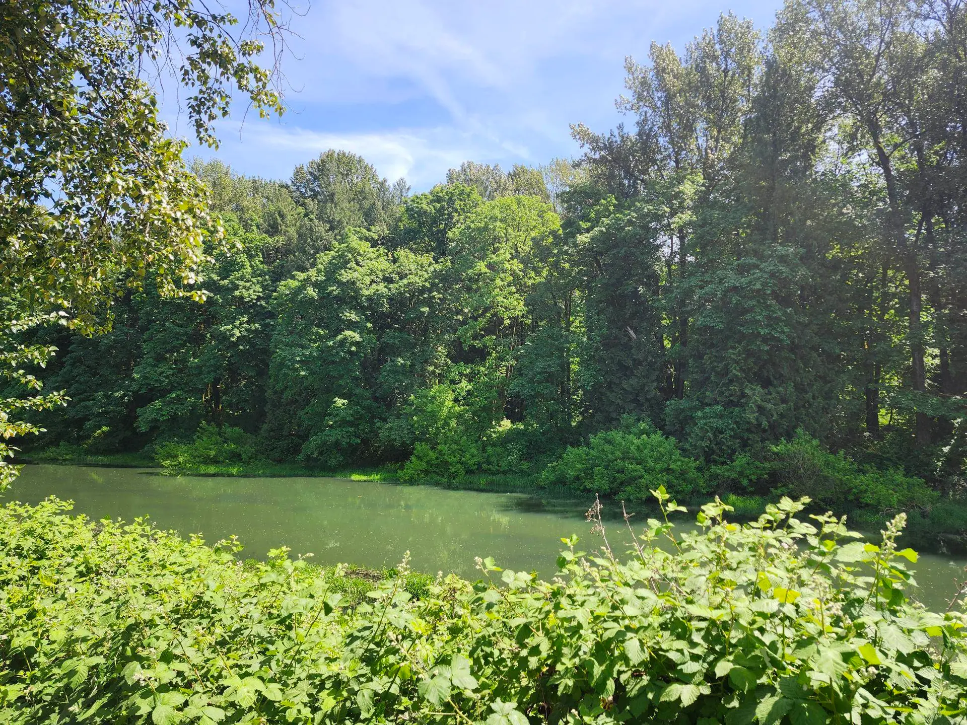 46645 Hope River Road - Image 18