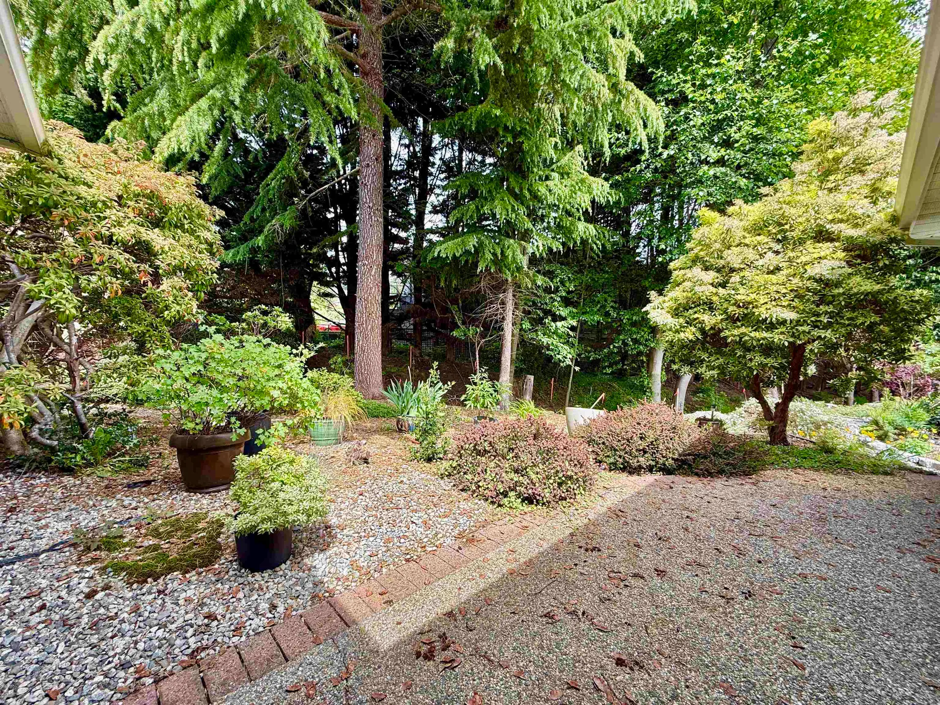 #3 699 Dougall Road - Image 16