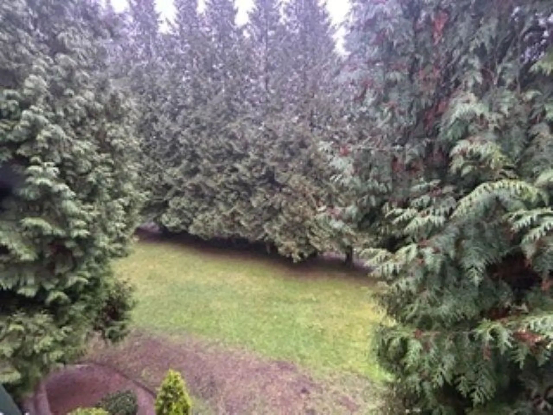 #313 3901 Carrigan Court - Image 2