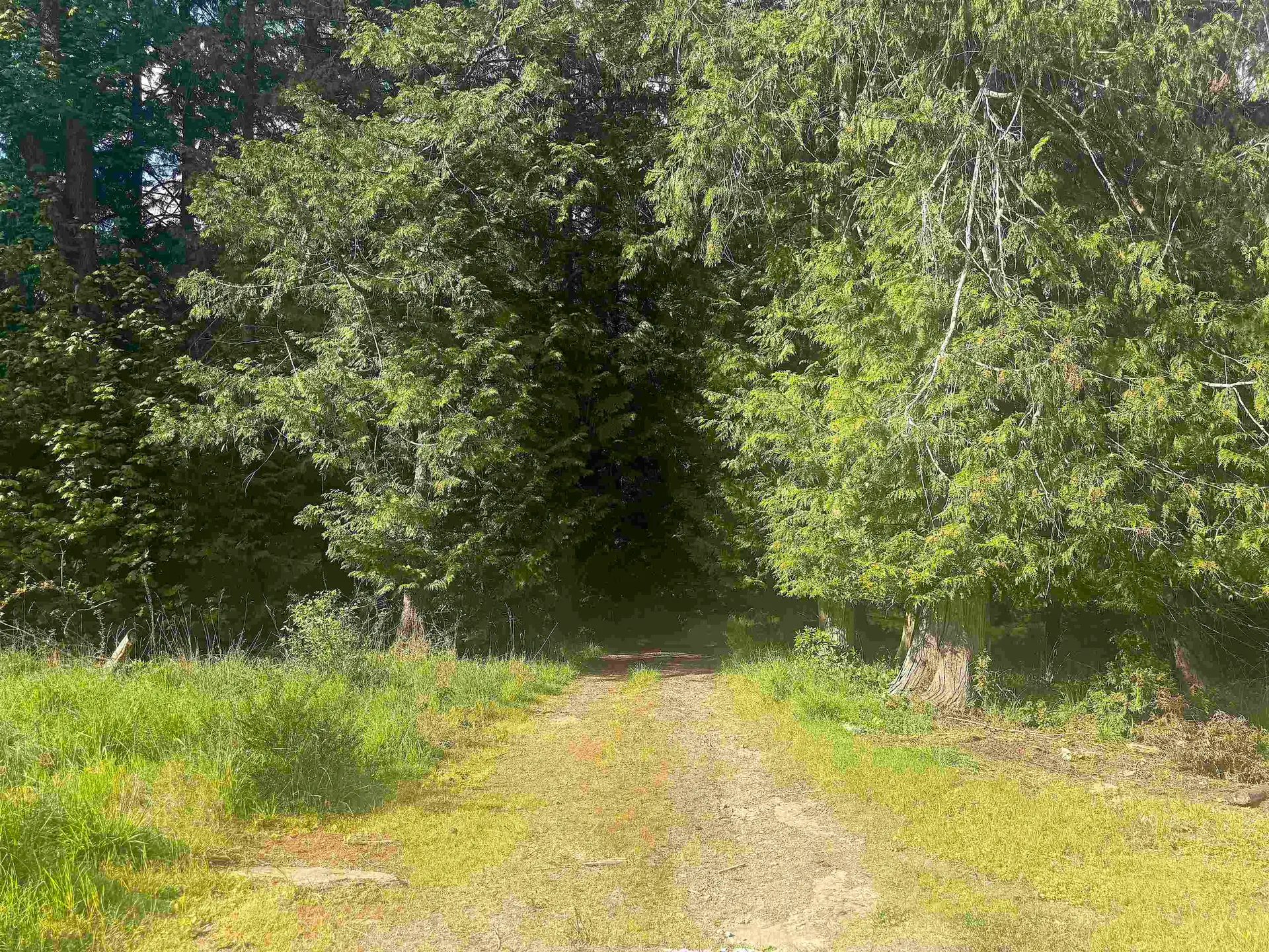 1114 Bluff Road - Image 2