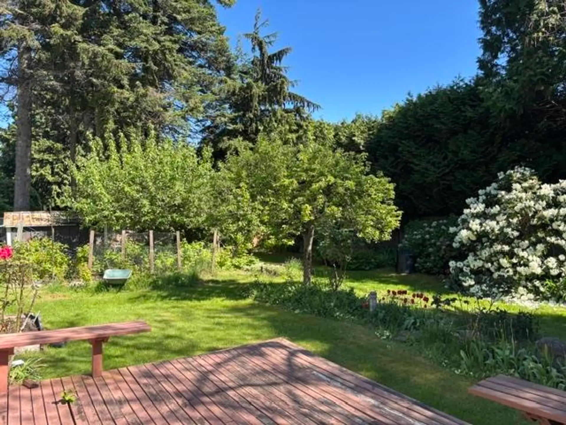 4936 4 Avenue - Image 13