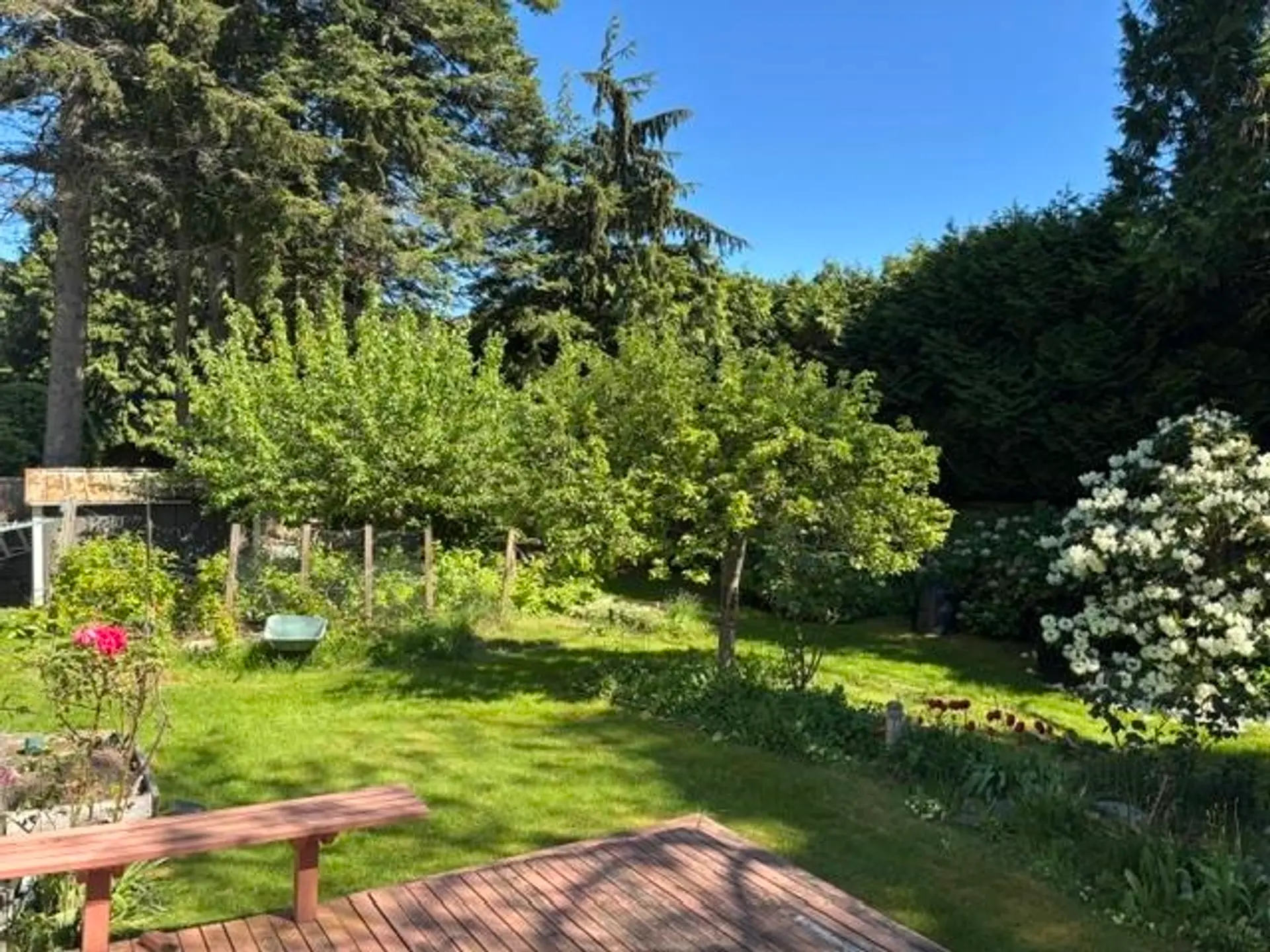 4936 4 Avenue - Image 12