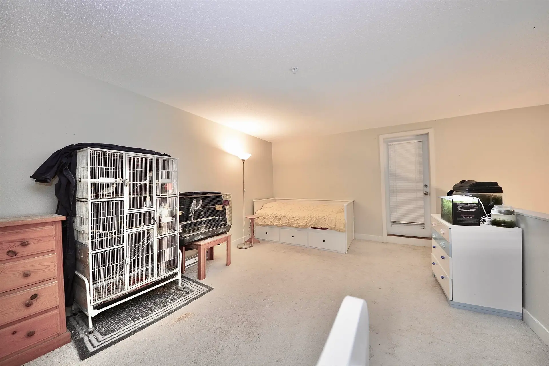 #452 10838 City Parkway - Image 6