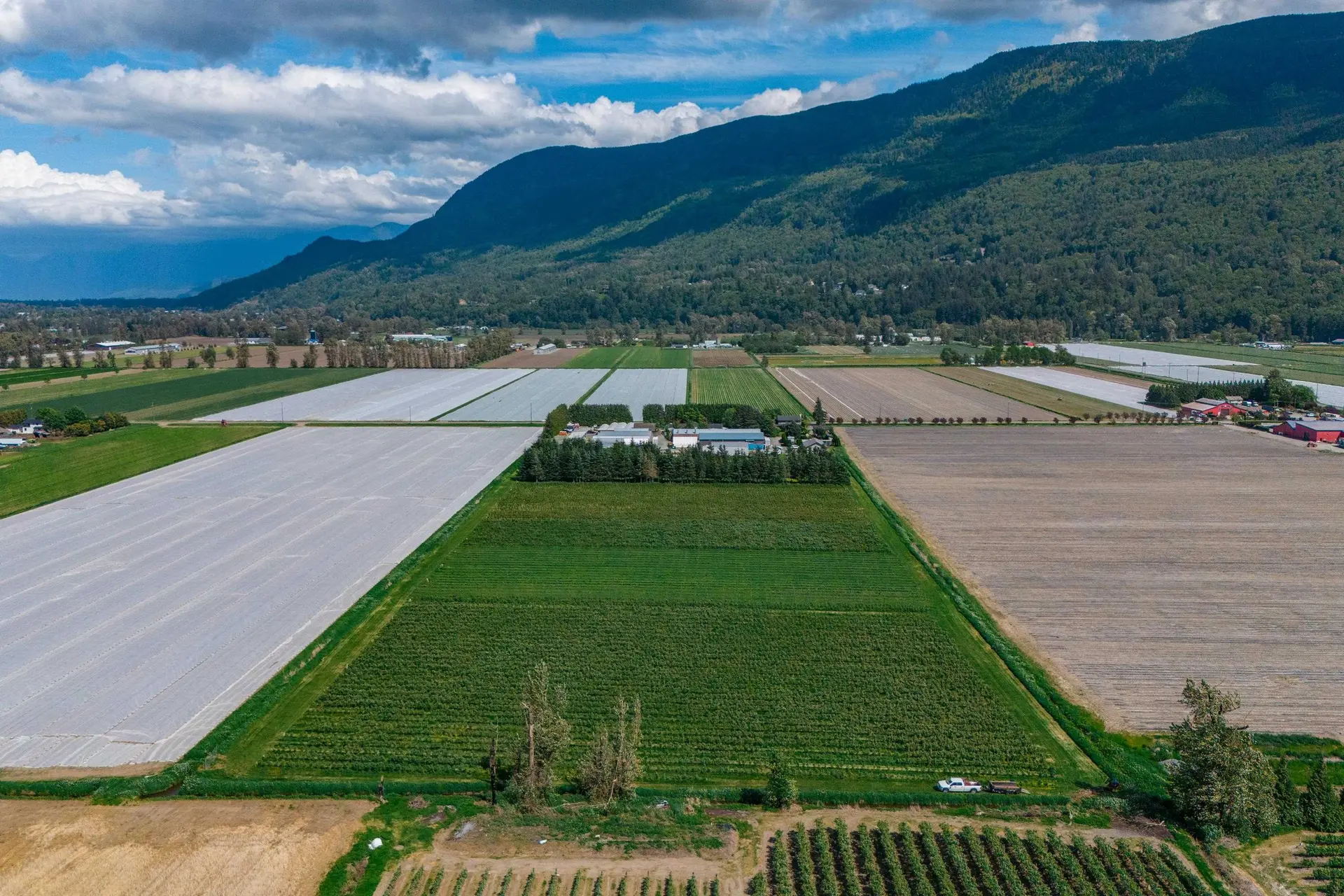 Property at 3387 Tolmie Road, Abbotsford, BC
