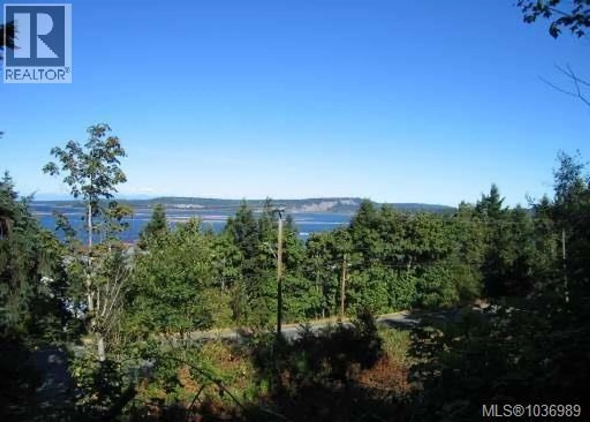 #3 911 Haliburton St - Image 6
