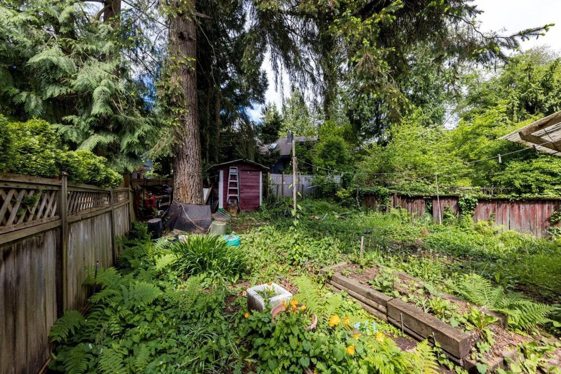 3297 Fromme Road - Image 6