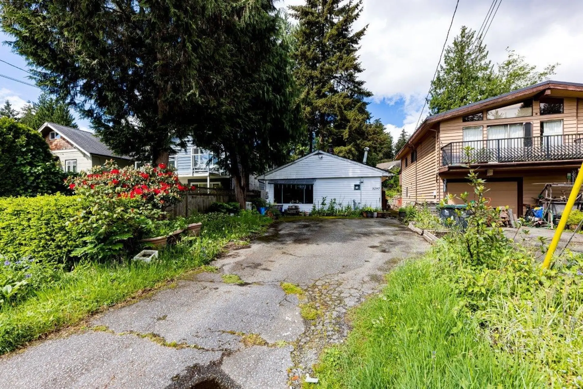 3297 Fromme Road - Image 3