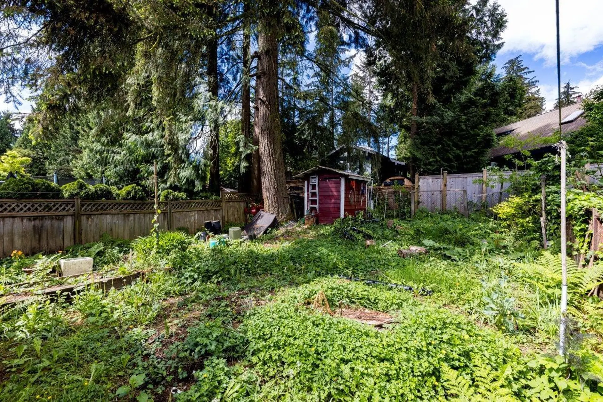 3297 Fromme Road - Image 4