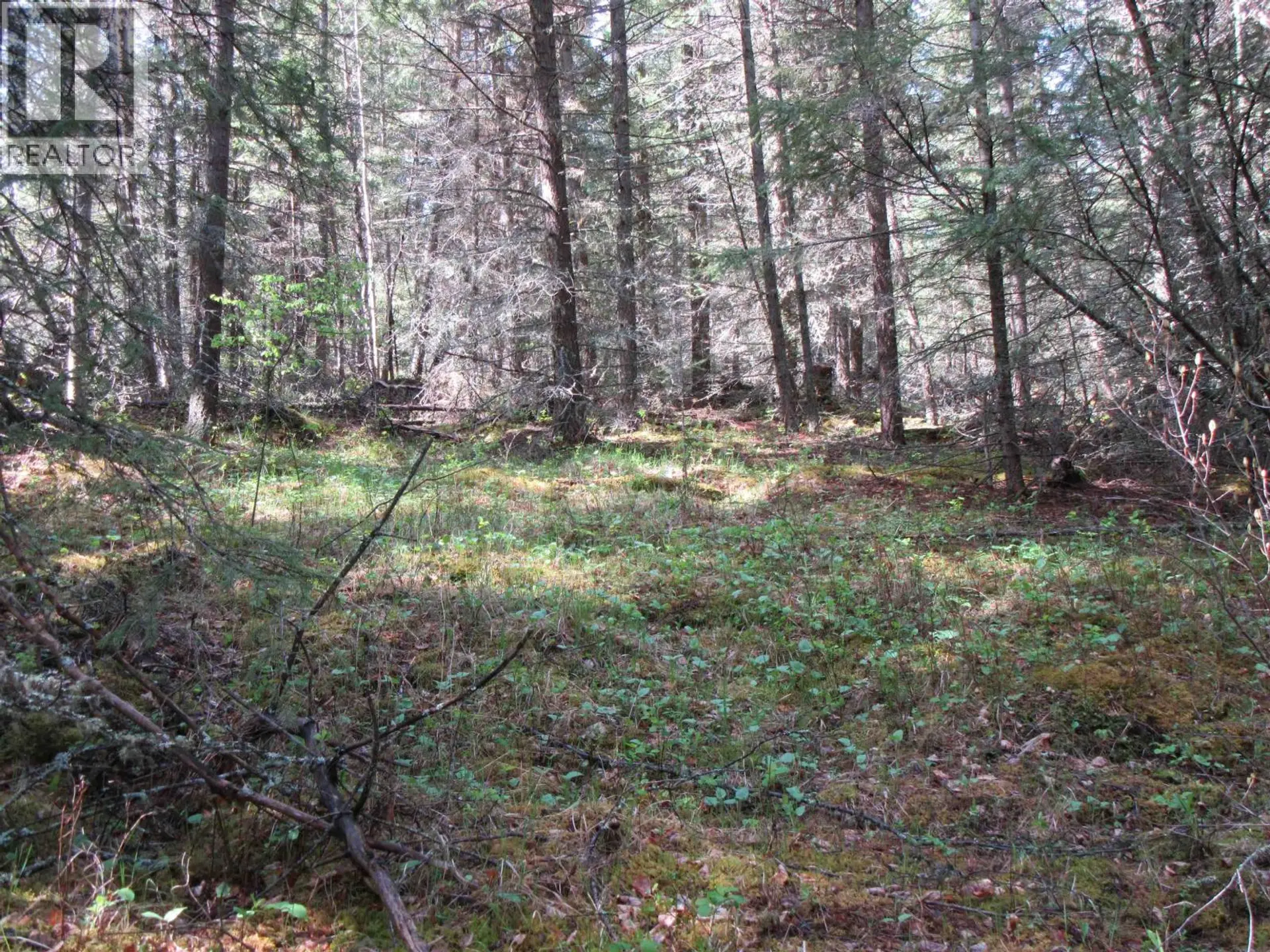 7681 BURGESS ROAD - Image 10