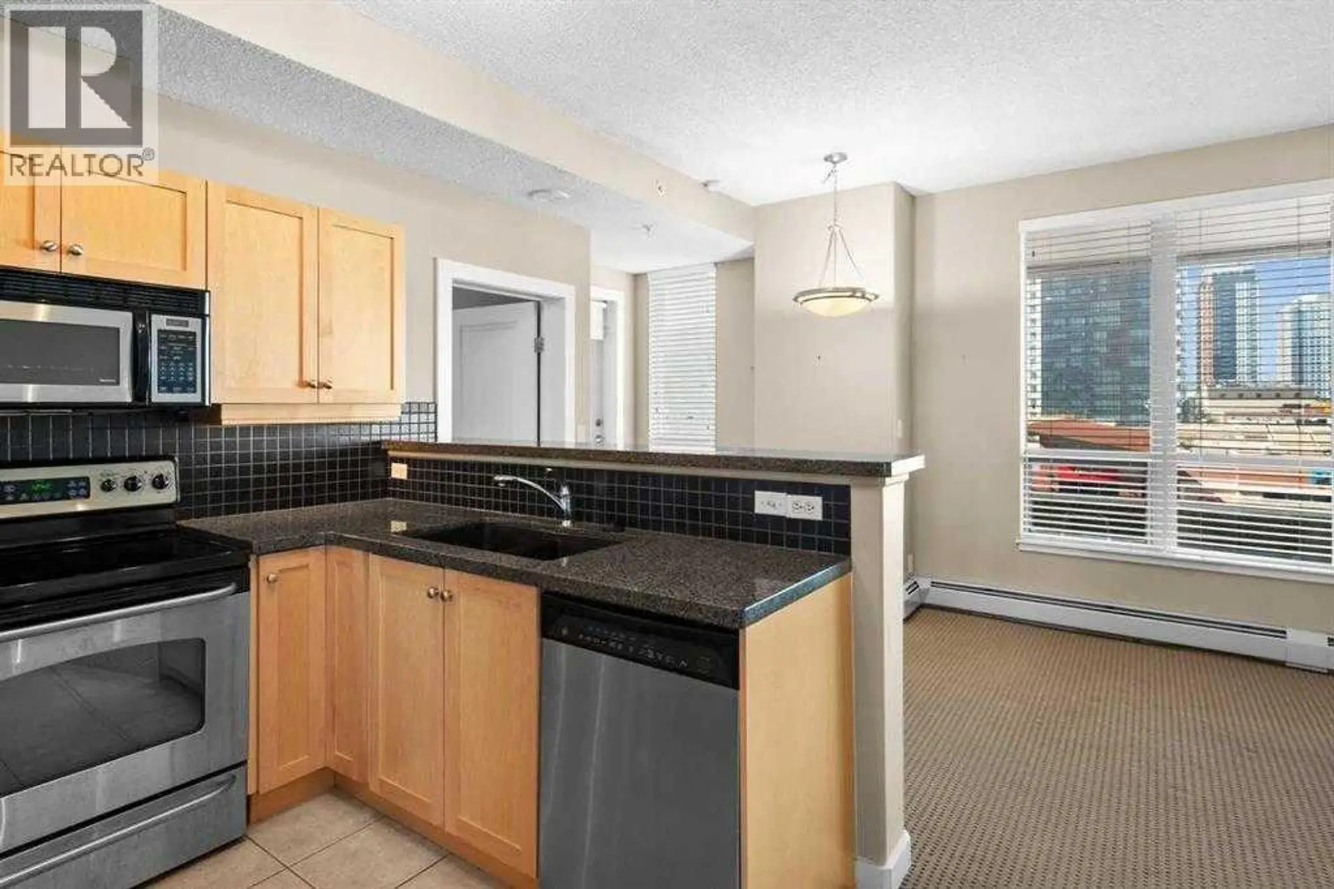 #411 1053 10 Street SW - Image 4