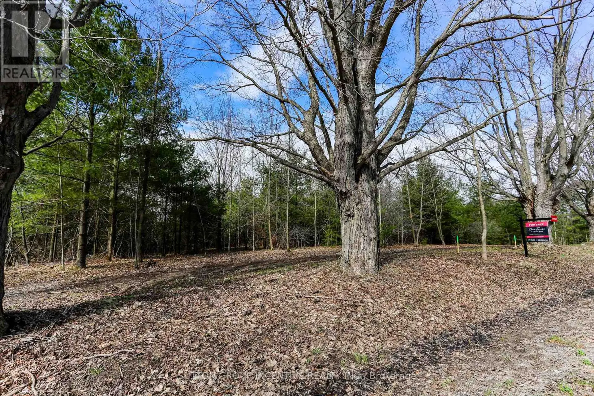 2774 OLD SECOND ROAD S - Image 8