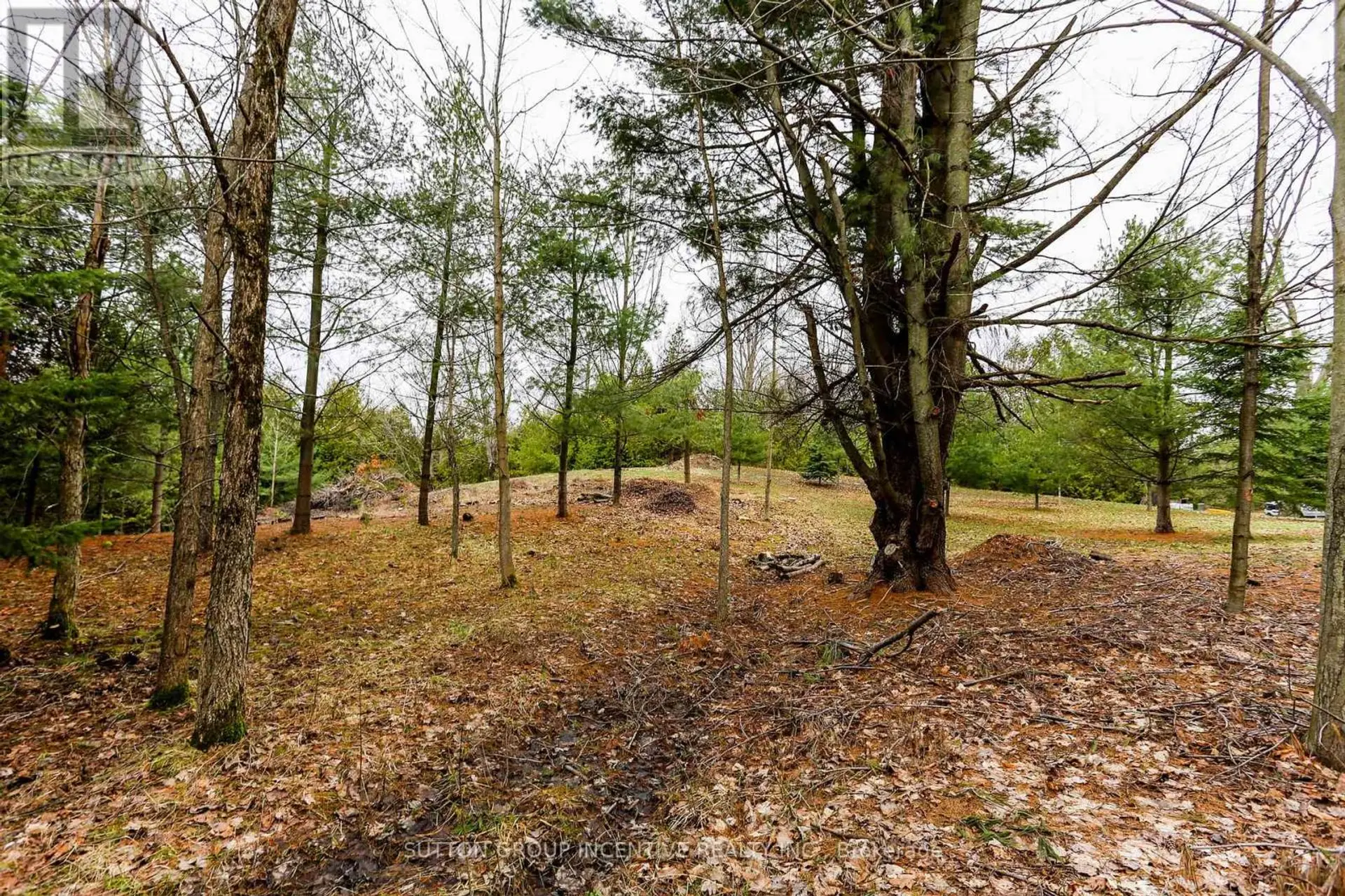 2774 OLD SECOND ROAD S - Image 9