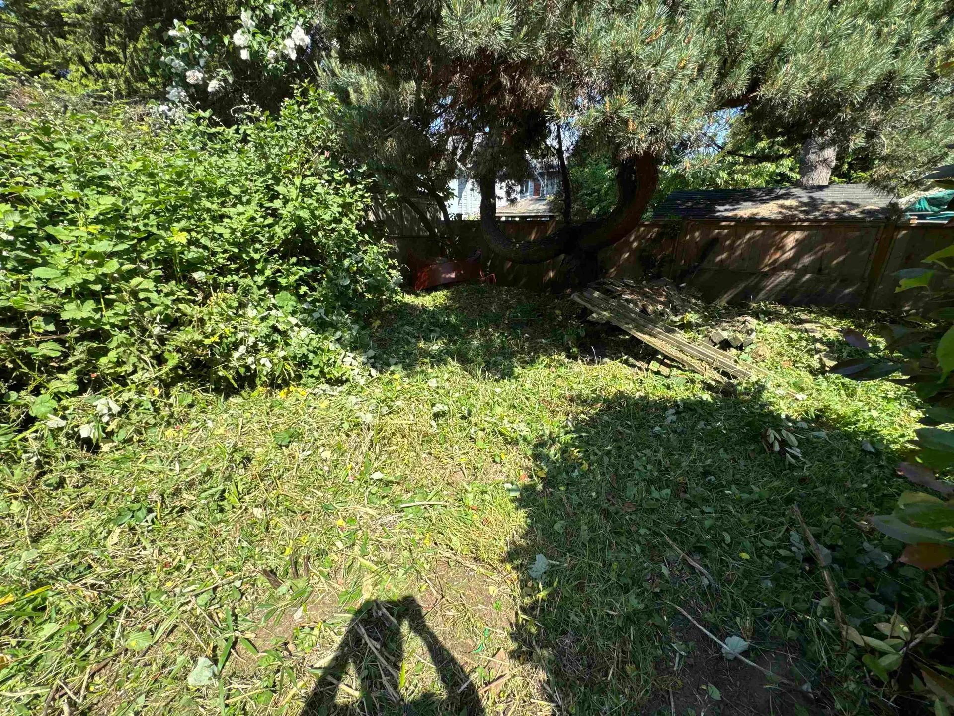 15671 Marine Drive - Image 5