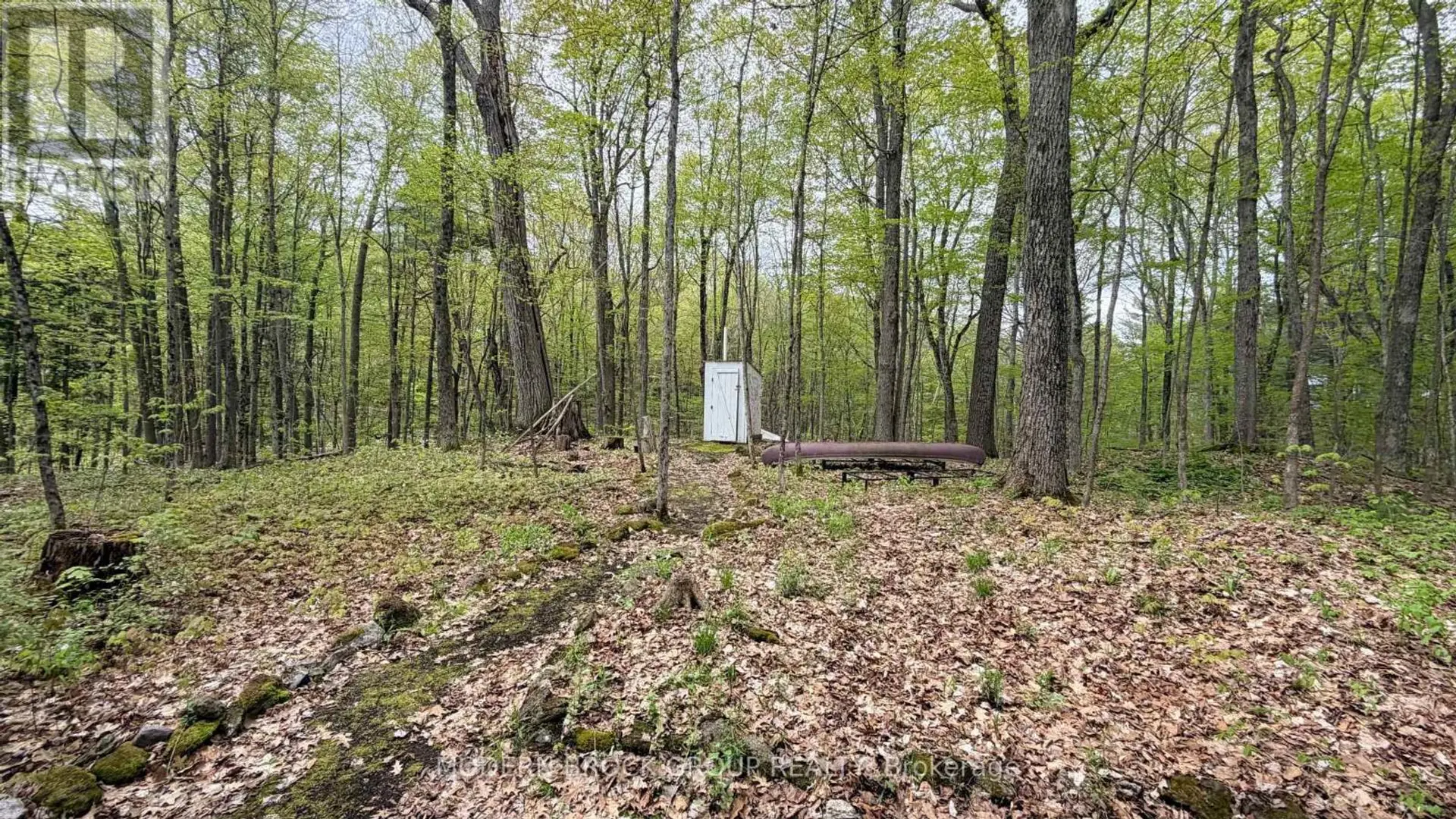 7026 BLACK JACK ISLAND - Image 13