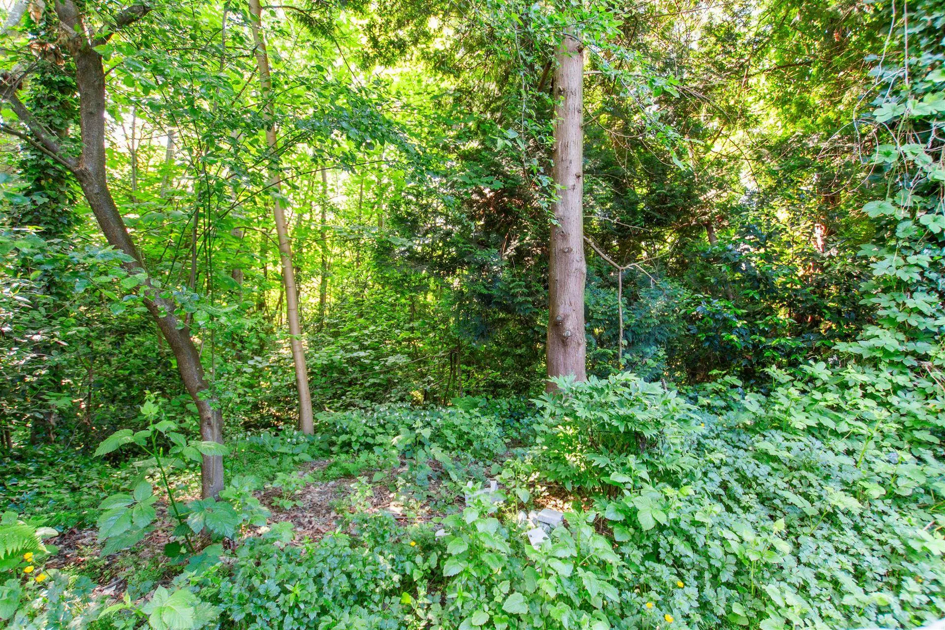 2676 Tretheway Drive - Image 16