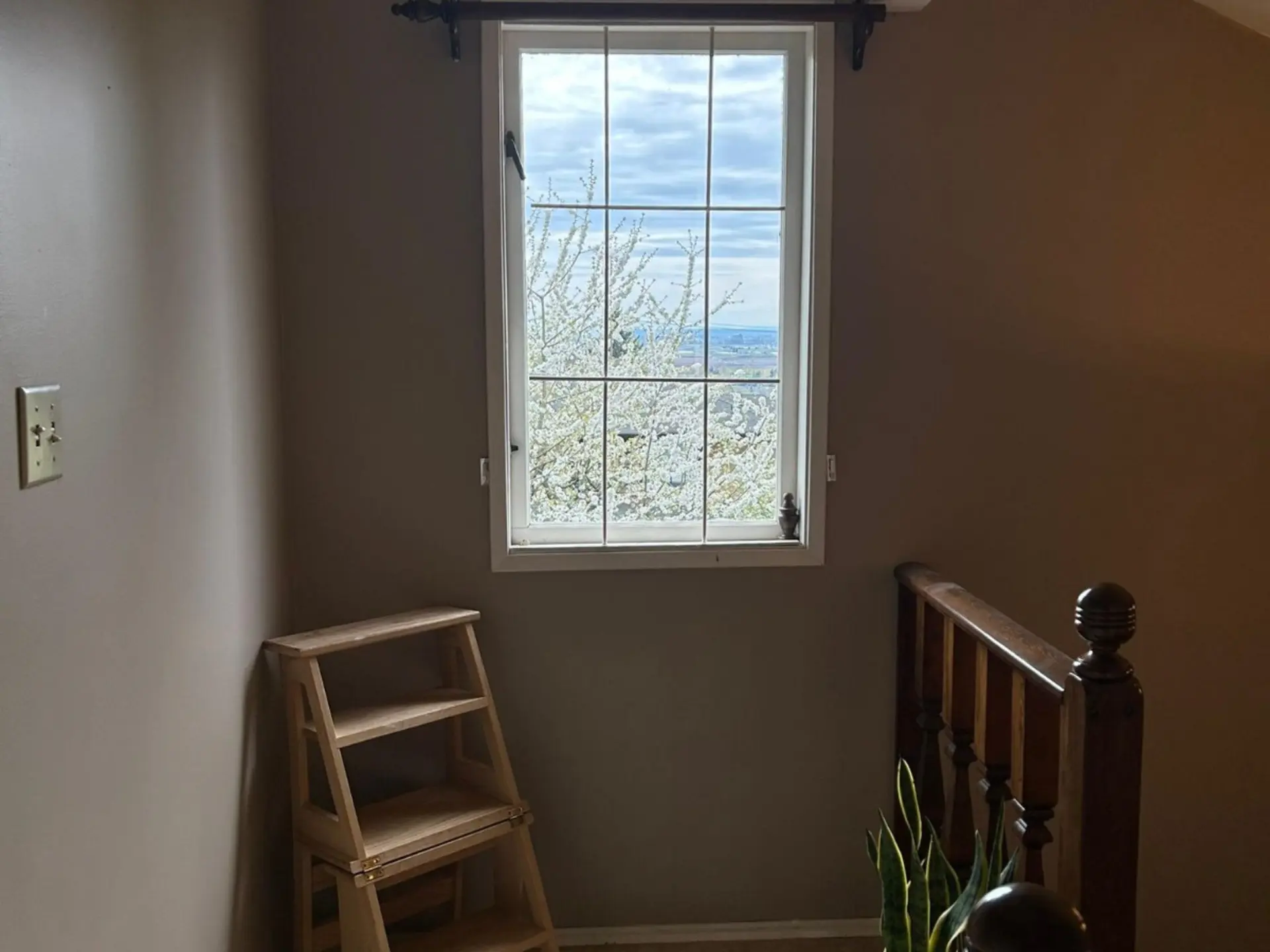 4258 Irmin Street - Image 7