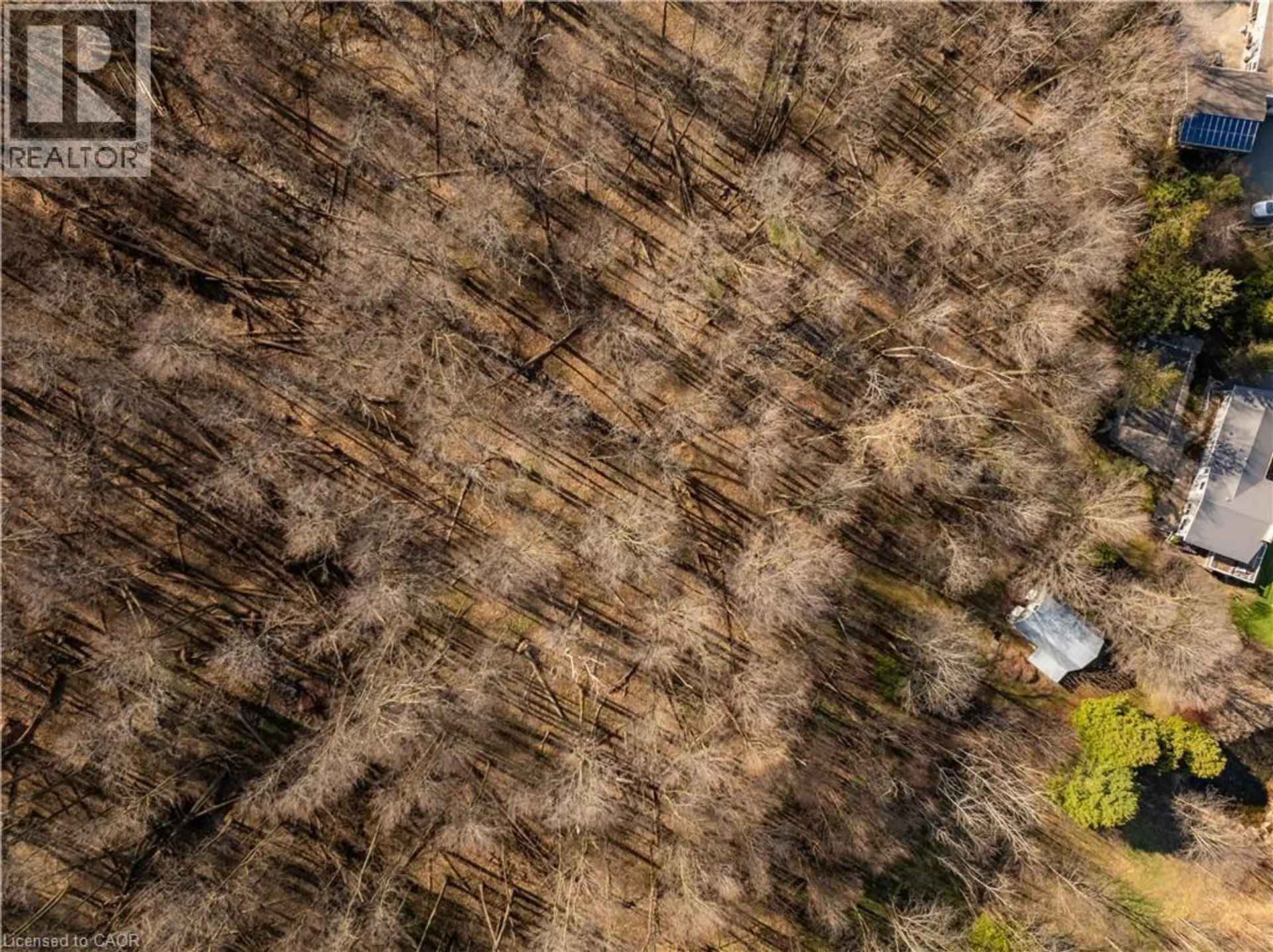 5086 WALKERS Line - Image 17