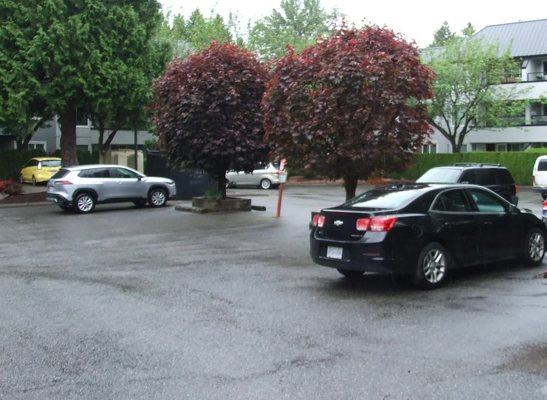 #224 2700 McCallum Road - Image 16