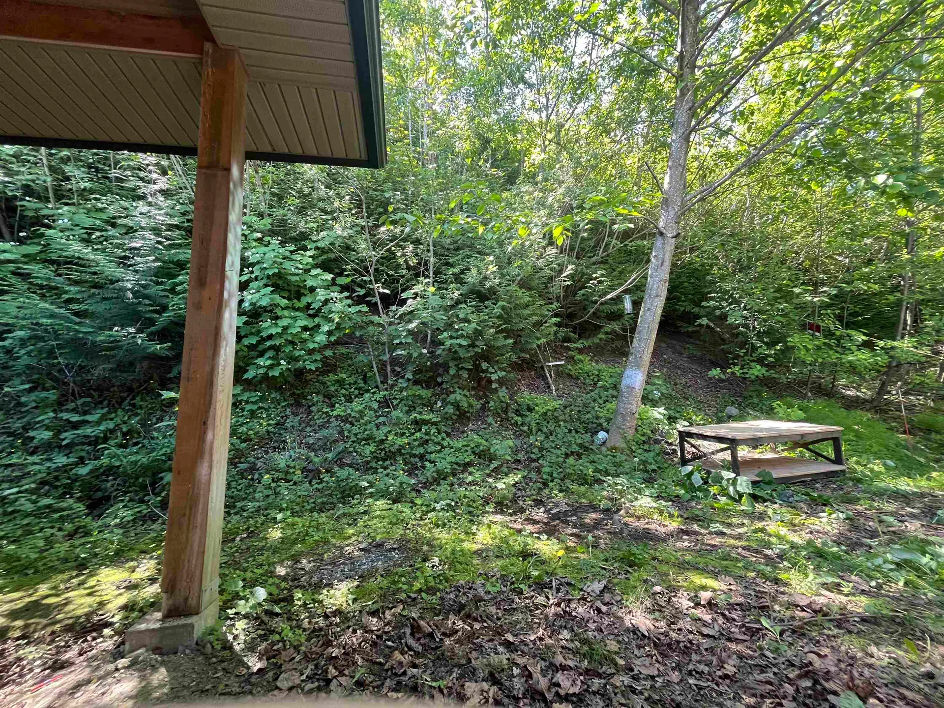 47202 Skyline Drive - Image 12