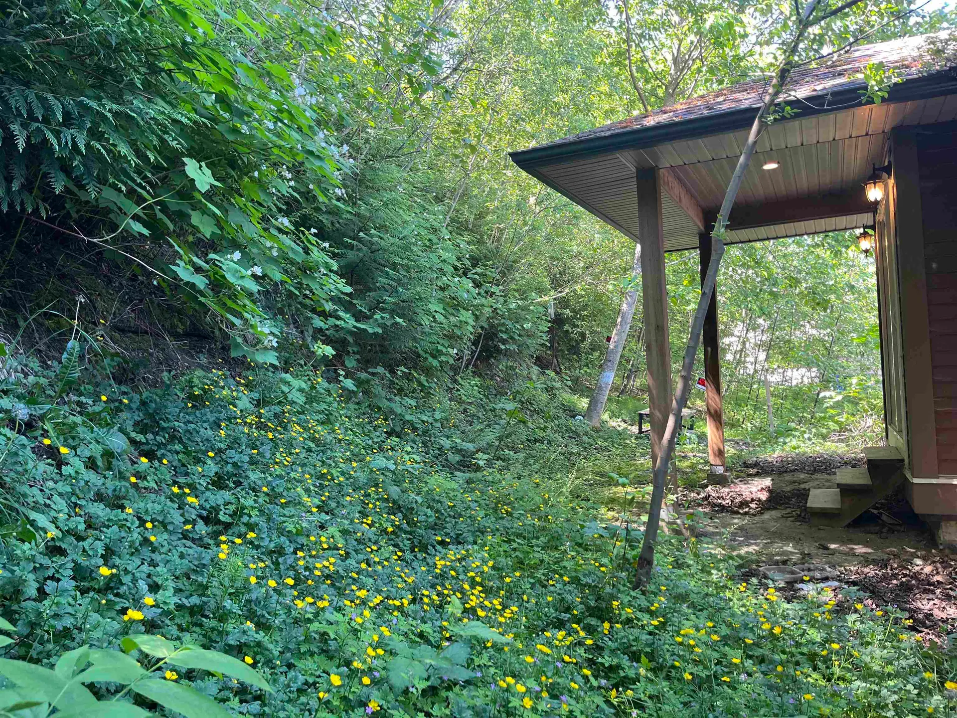 47202 Skyline Drive - Image 11