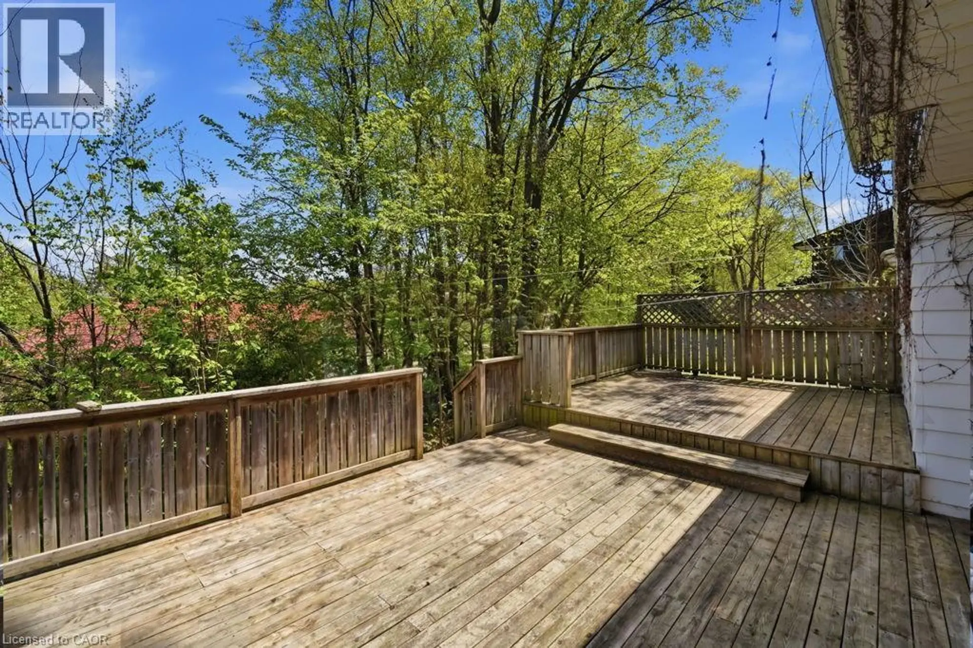 46 BIRCHCLIFF Avenue - Image 2