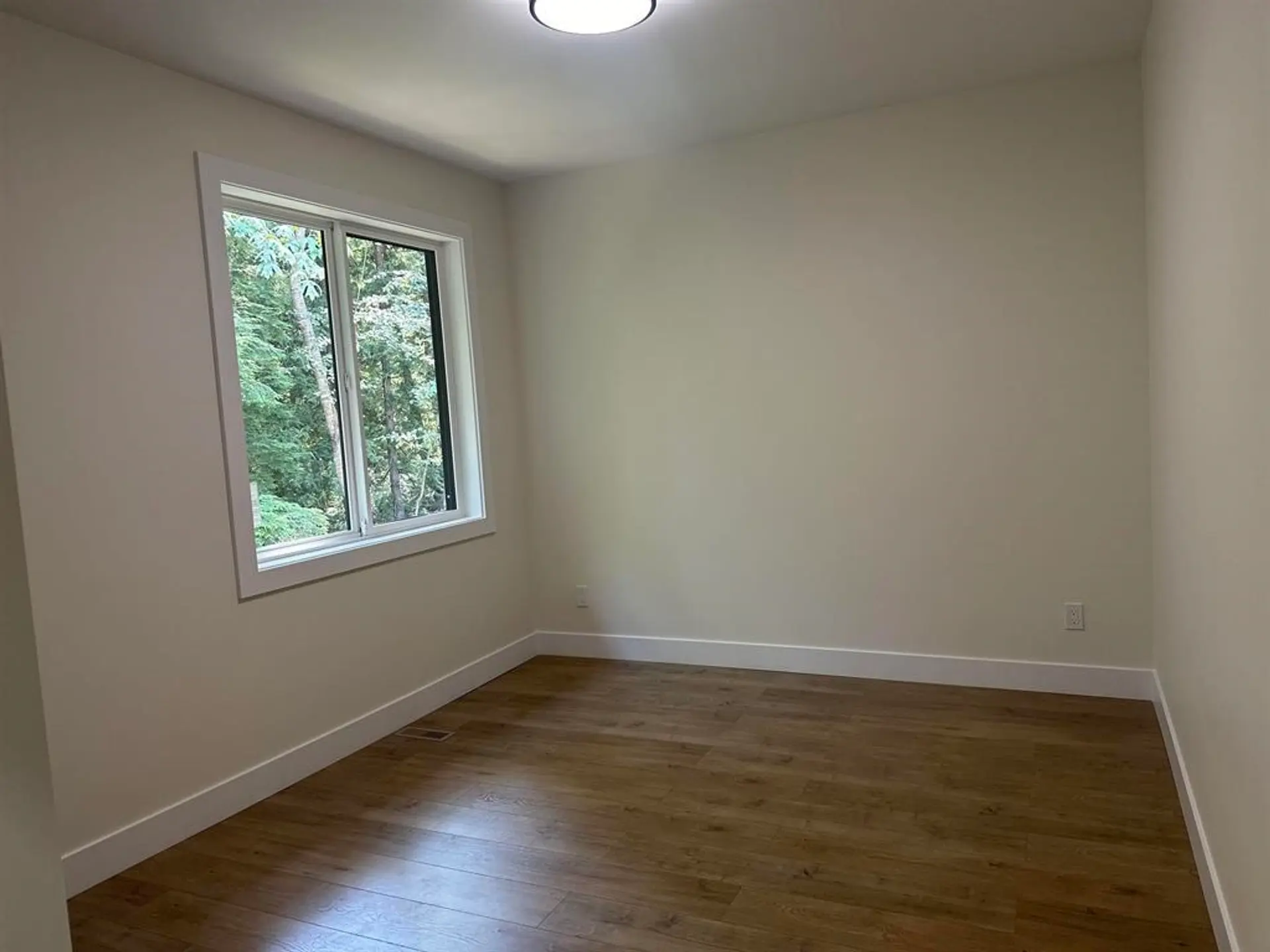 36716 Dianne Brook Avenue - Image 12