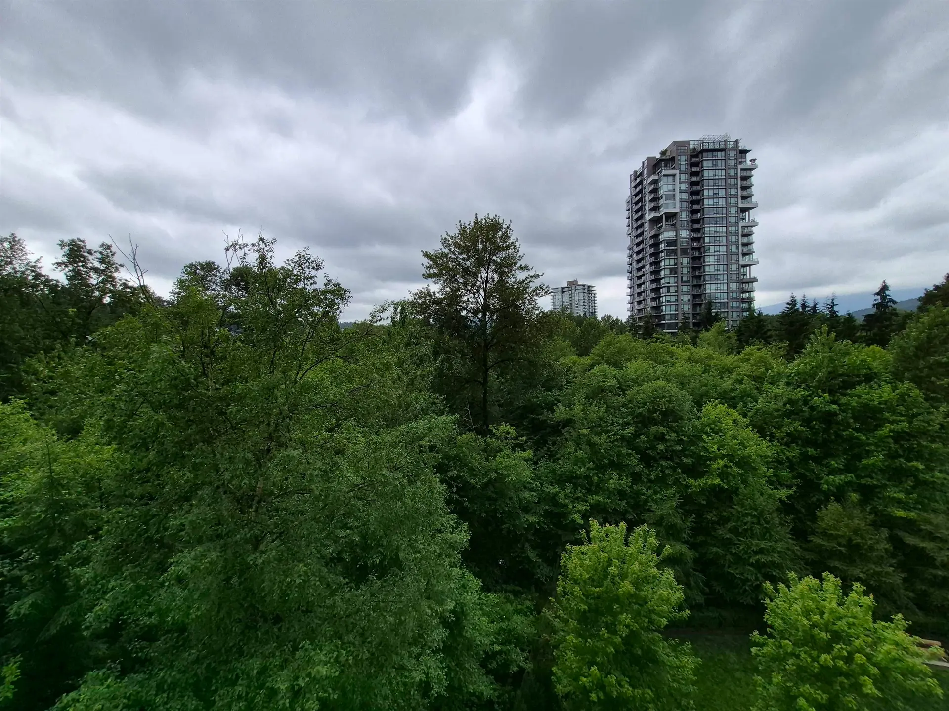 #707 308 Morrissey Road - Image 17