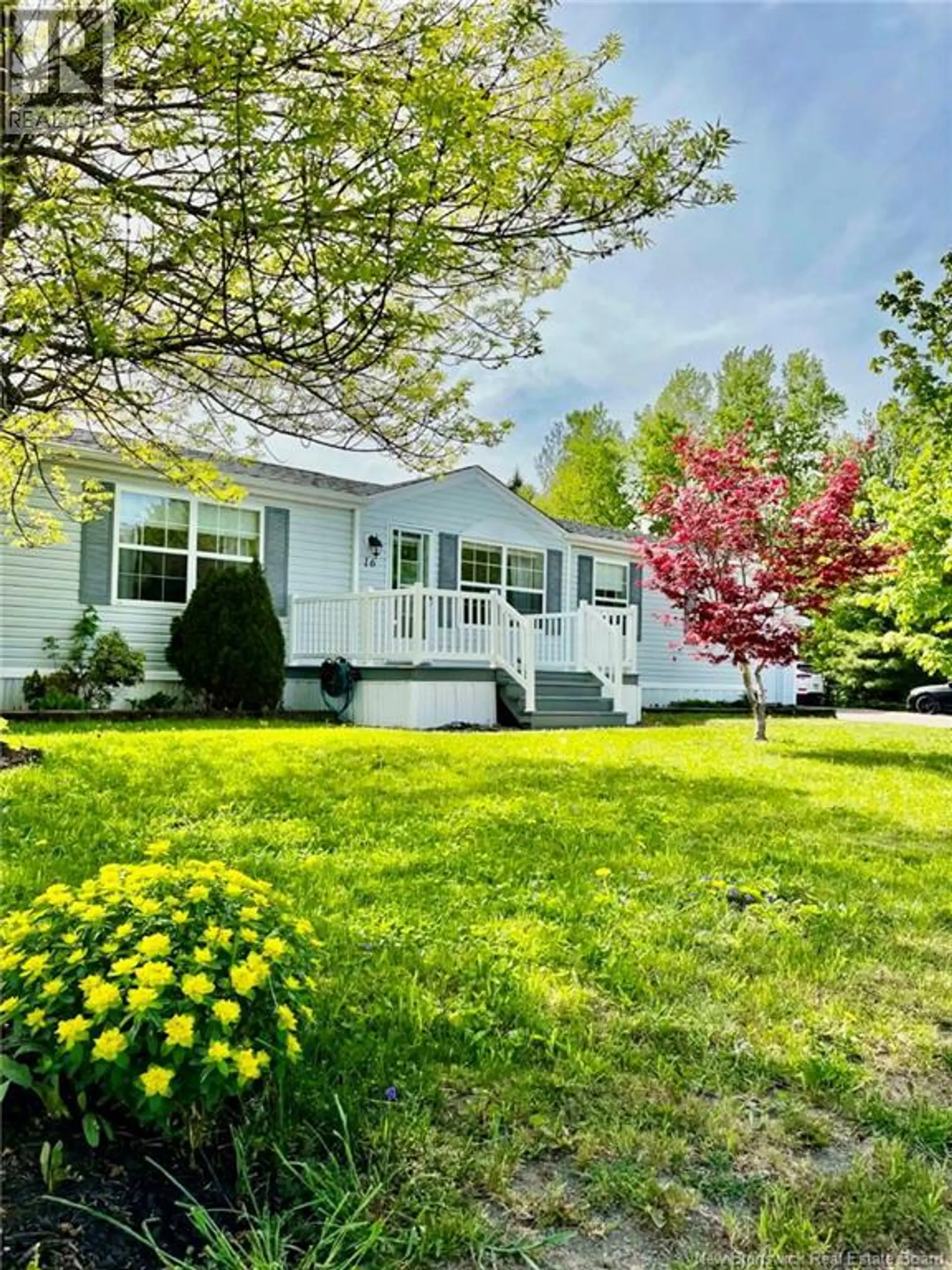 16 Anemone Street - Image 4