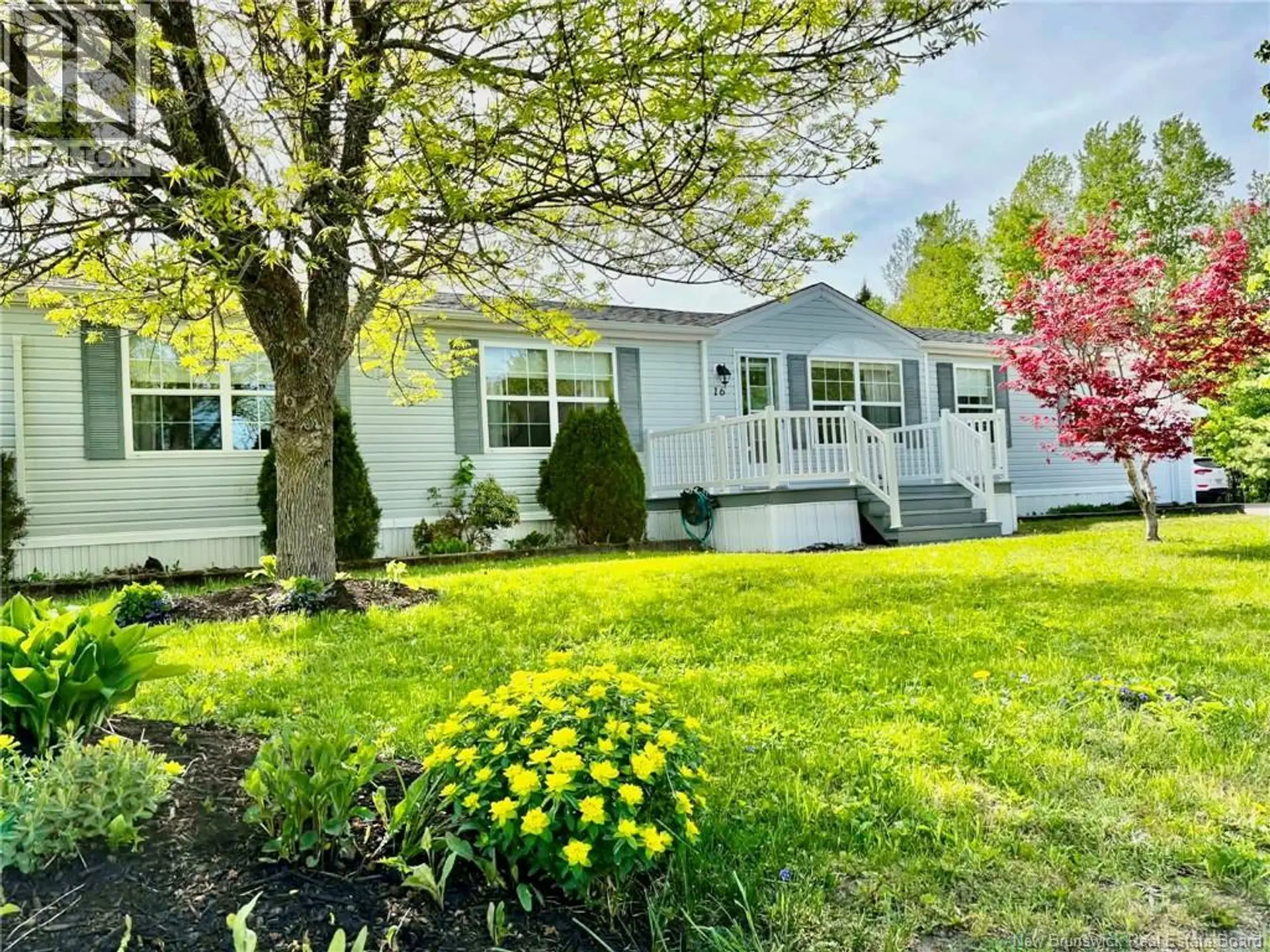 16 Anemone Street - Image 3