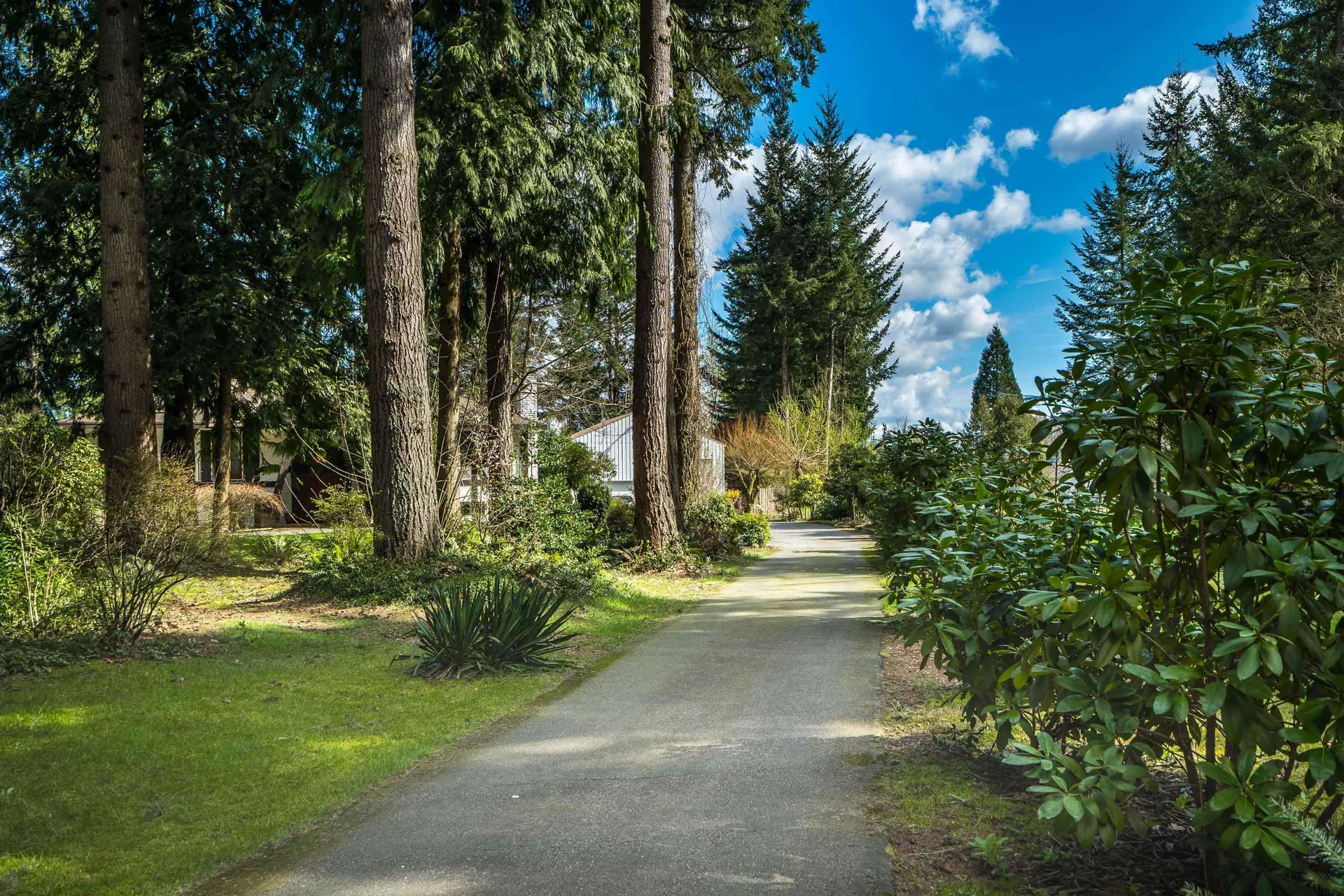 Property at 5342 236th Street, Langley, BC