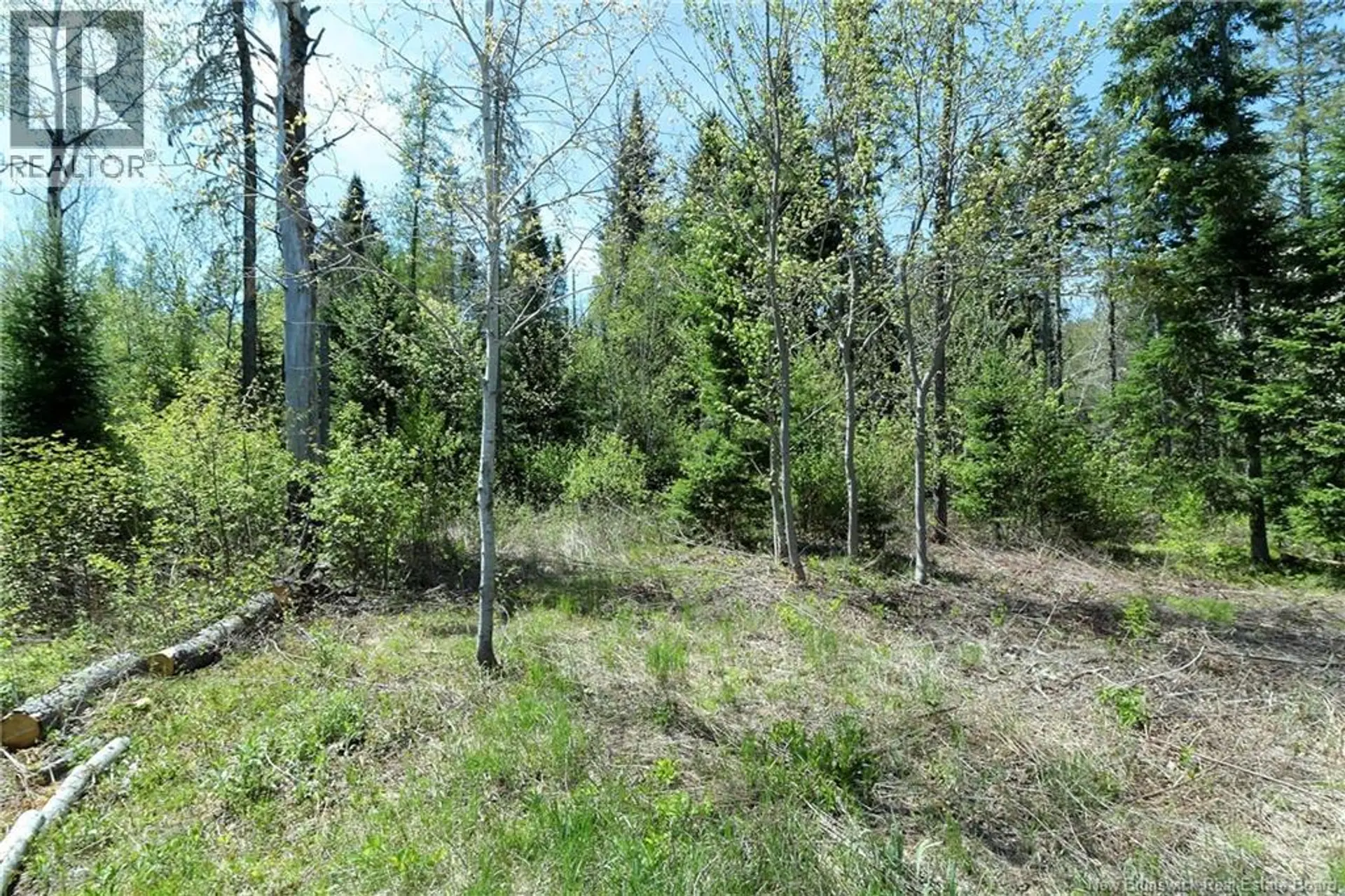 1539 Route 116 - Image 14
