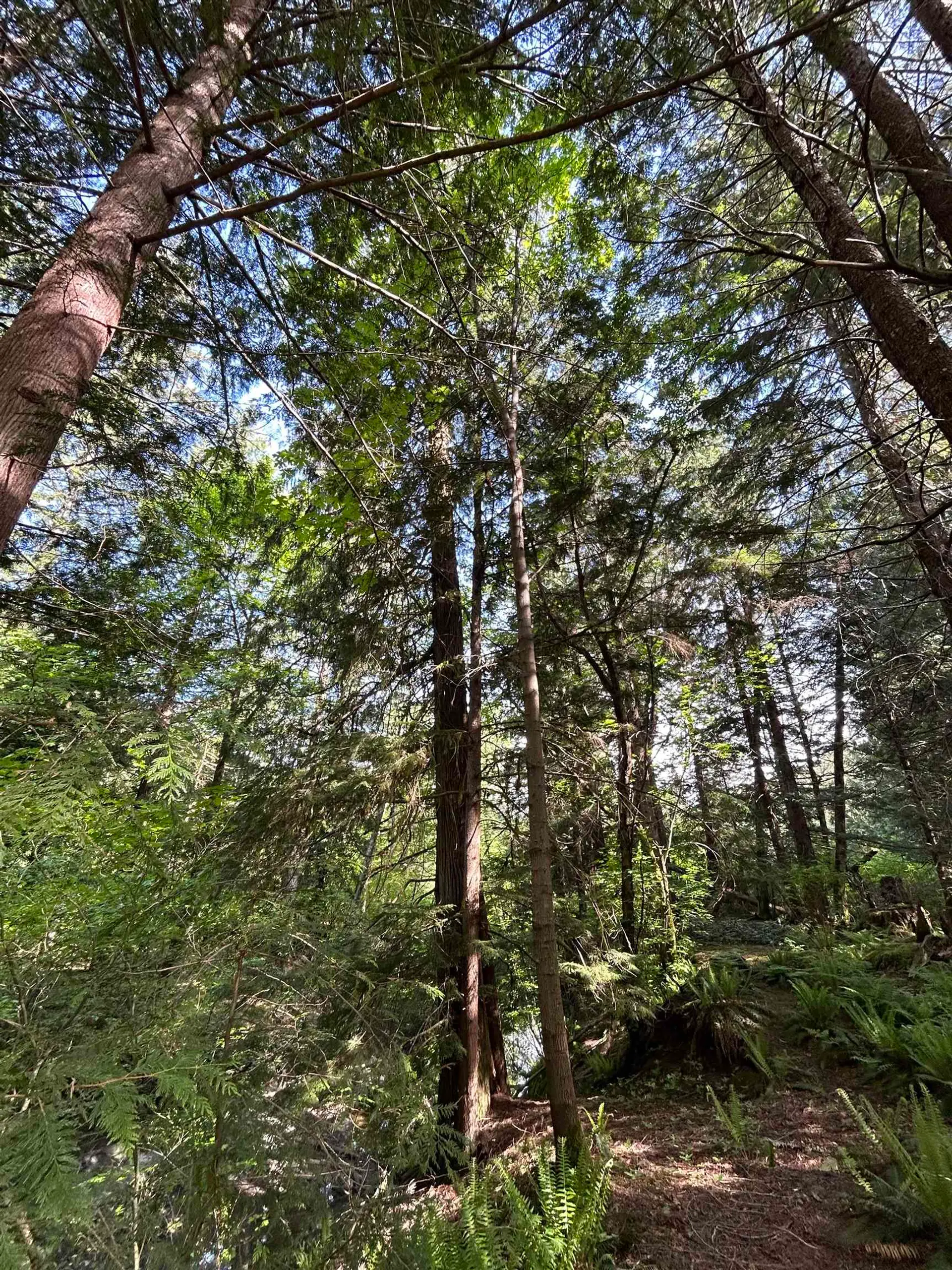 Property at 9063 Paradise Valley Road, Squamish, BC