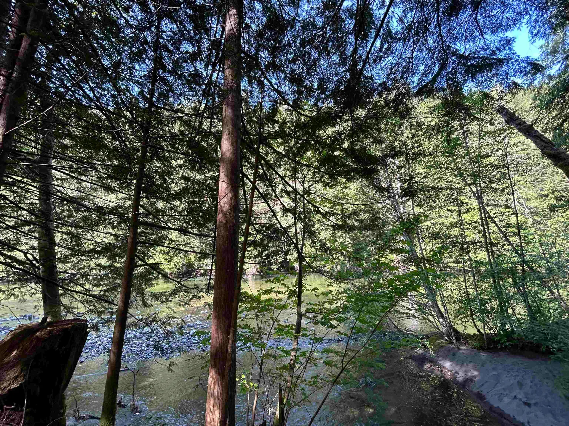 9063 Paradise Valley Road - Image 11