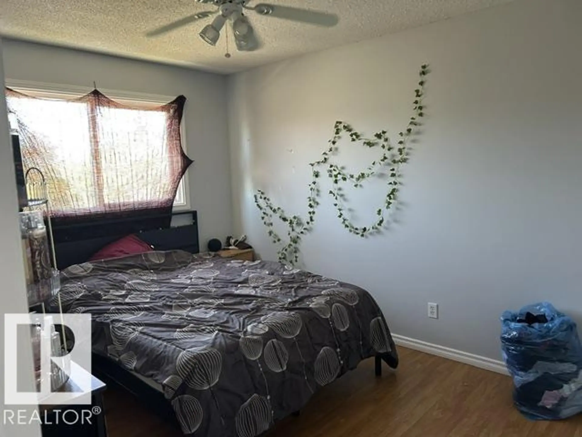 51 Mcleod PL NW - Image 6